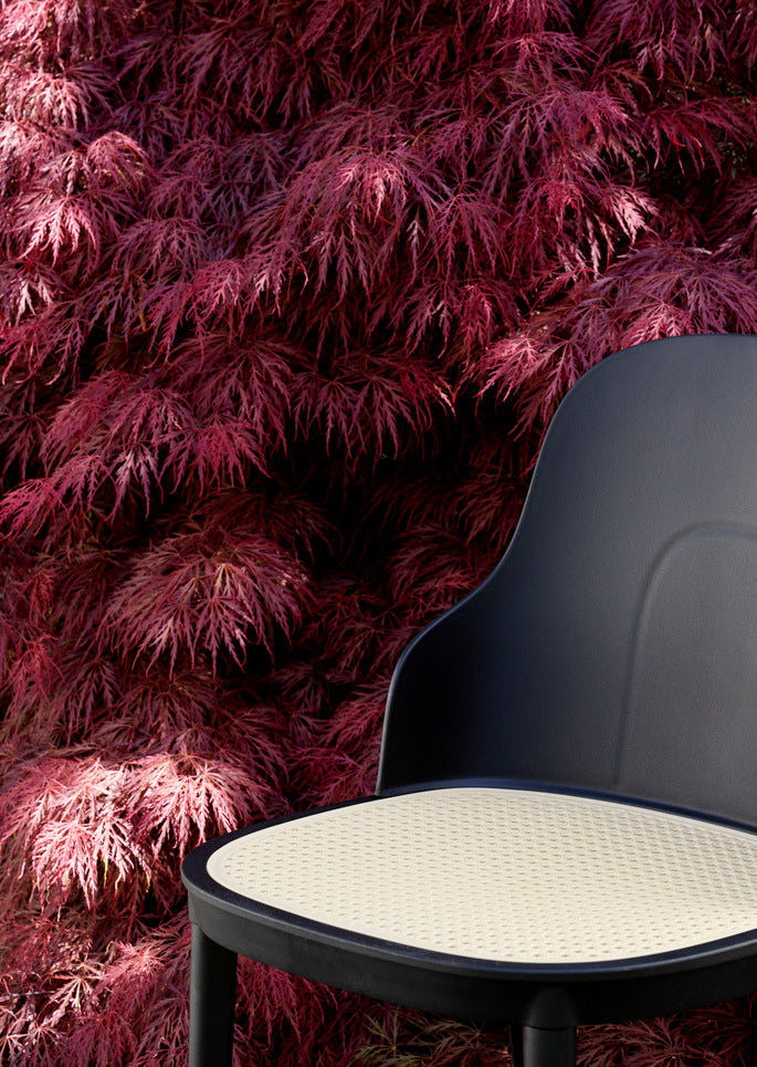 Allez PP Black chair with wicker