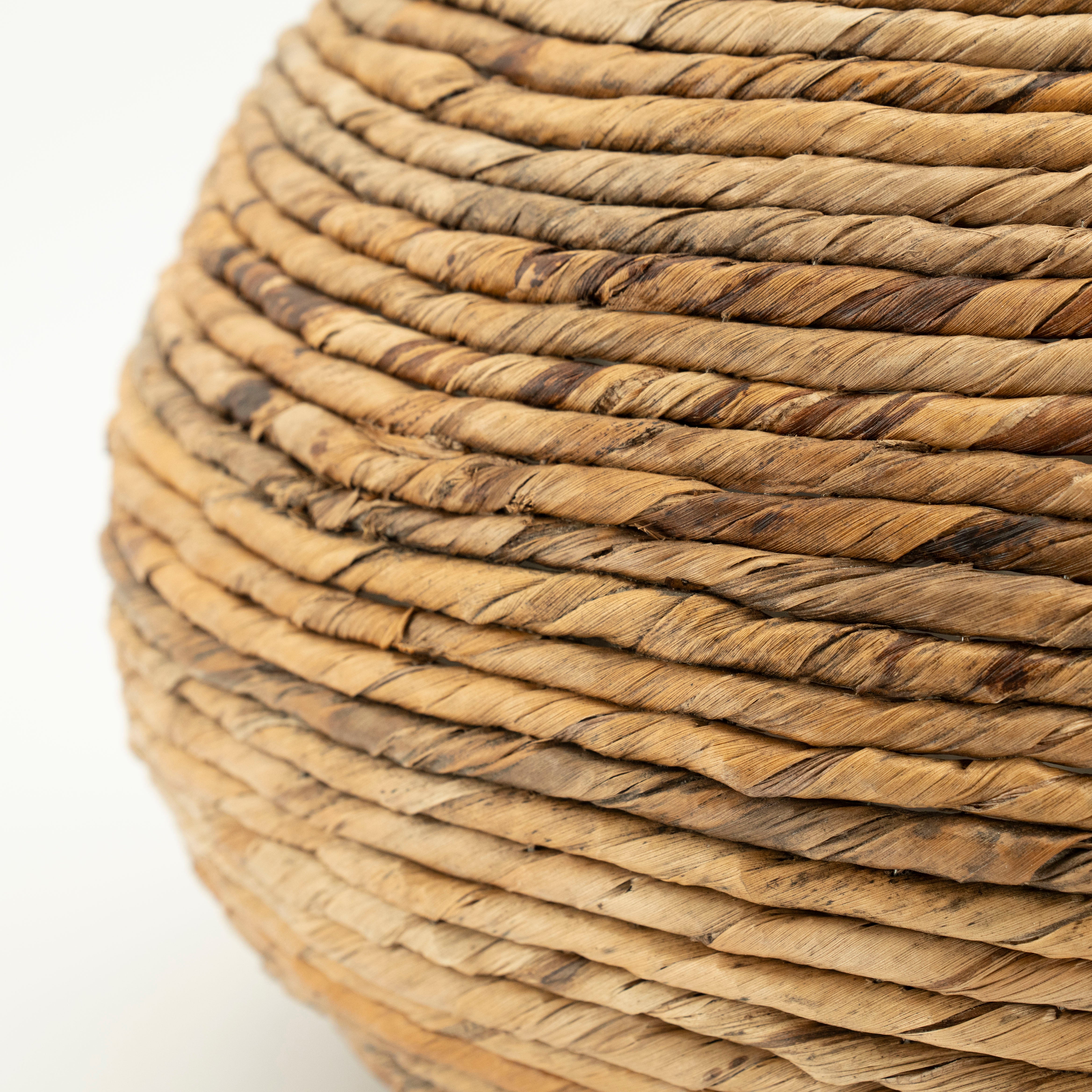 Osłonka BENTI bananowiec