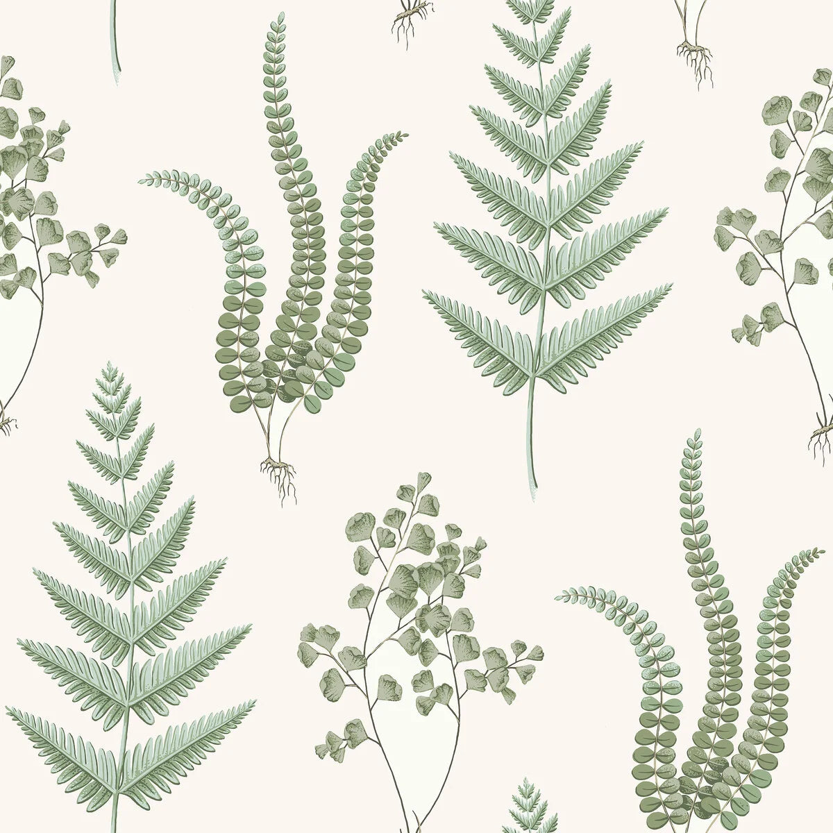 Herba White and Green Leafy Plant Motif Wallpaper