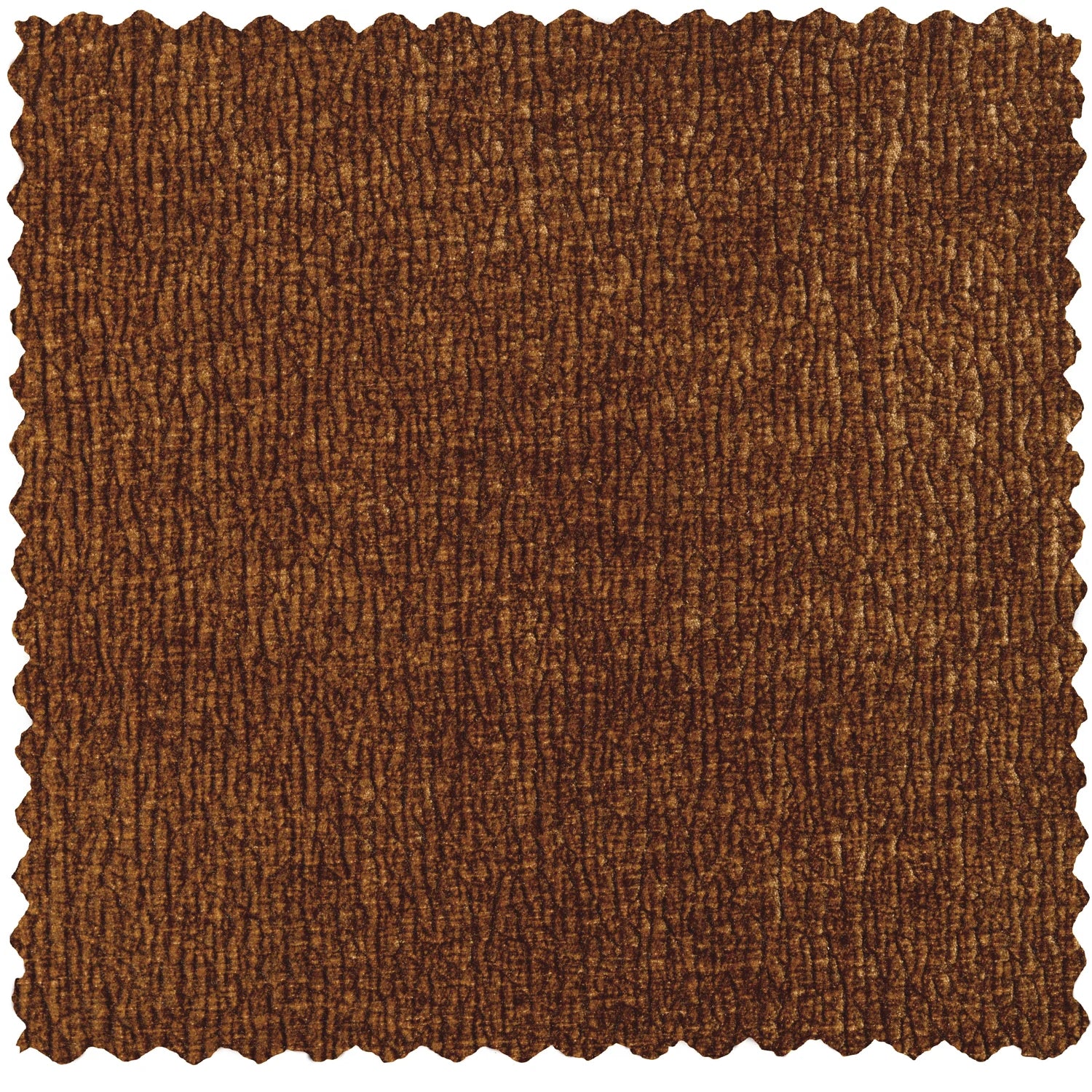 Vogue 3D brown chair szenil with a chrome base