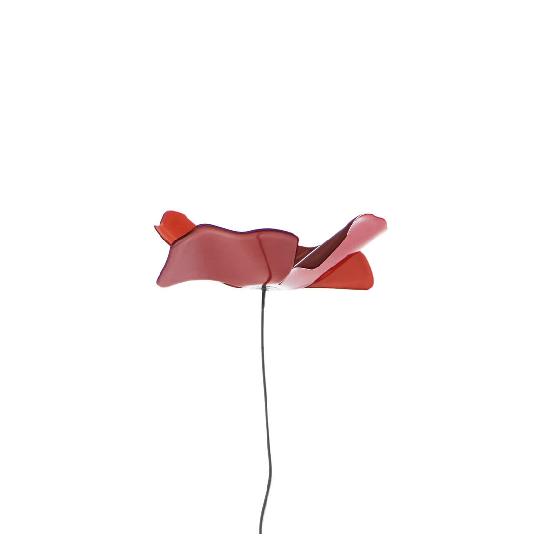 PAPAVERO decoration red