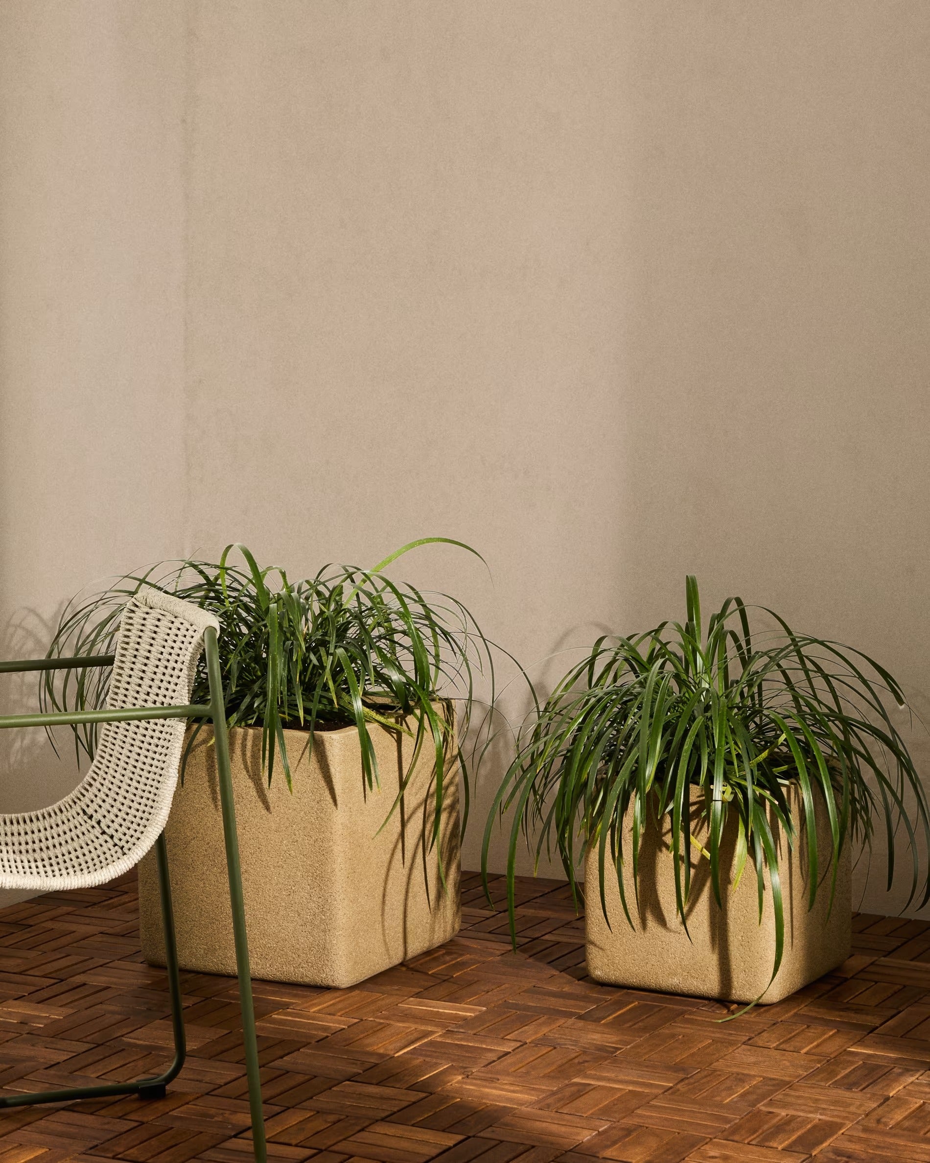 Set of Donice Minoa mustard polycement