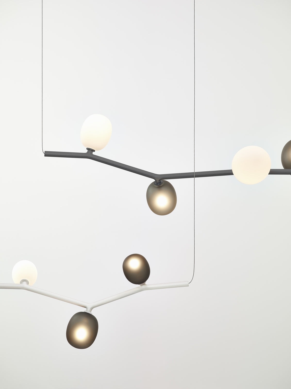 Ivy hanging lamp - Horizontal Matte glass