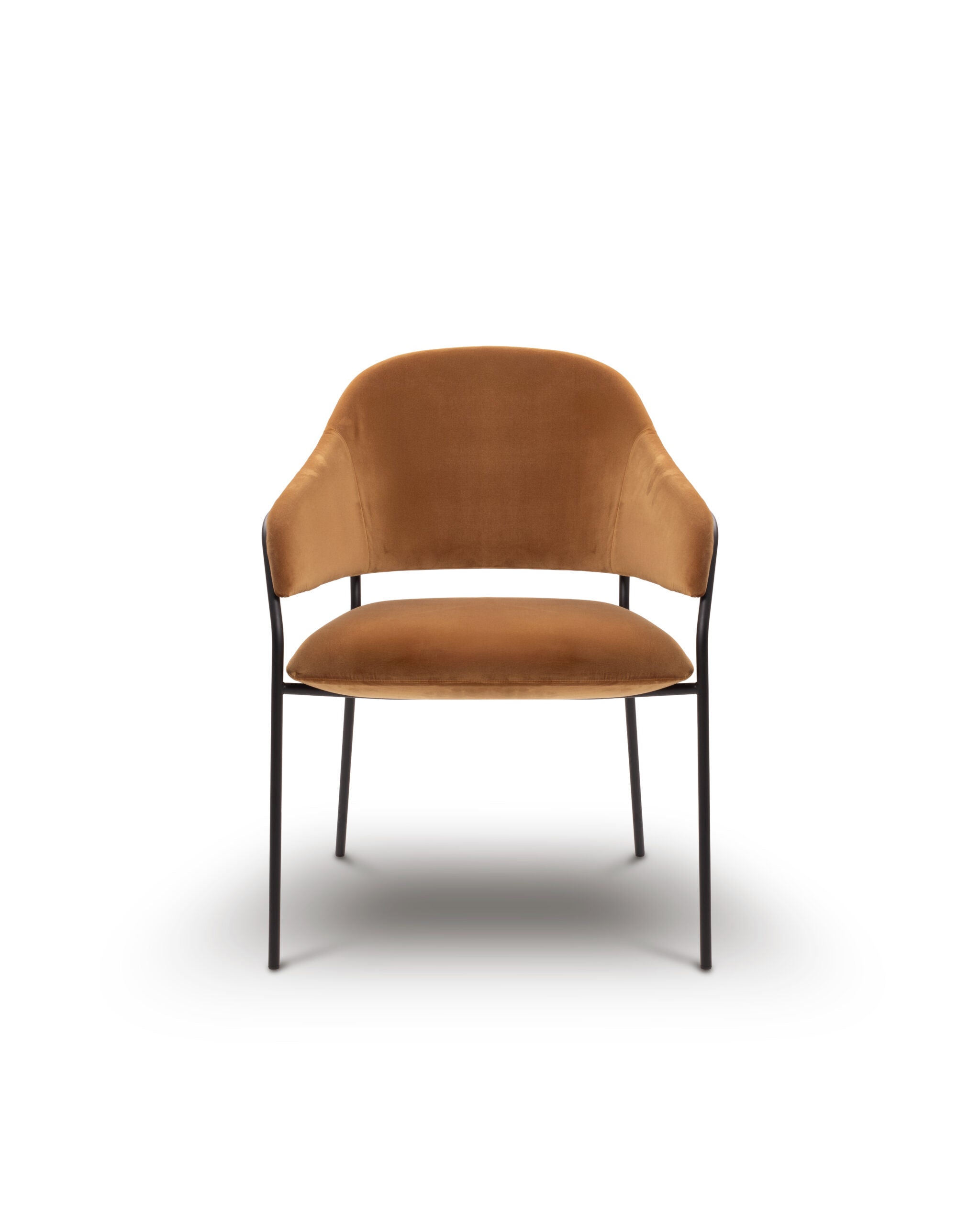 ELO Upholstered Armchair