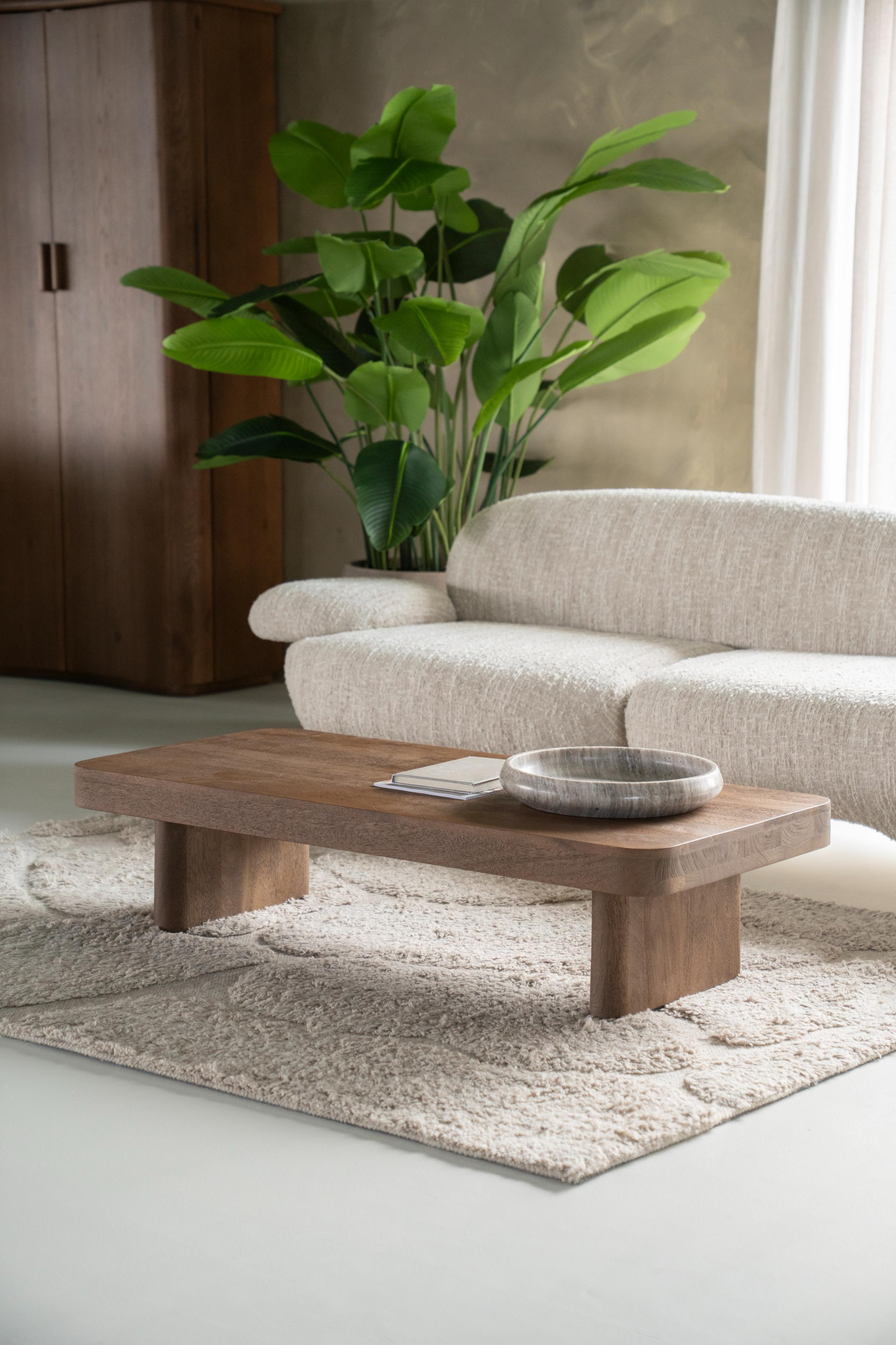 EDWARD coffee table mango wood