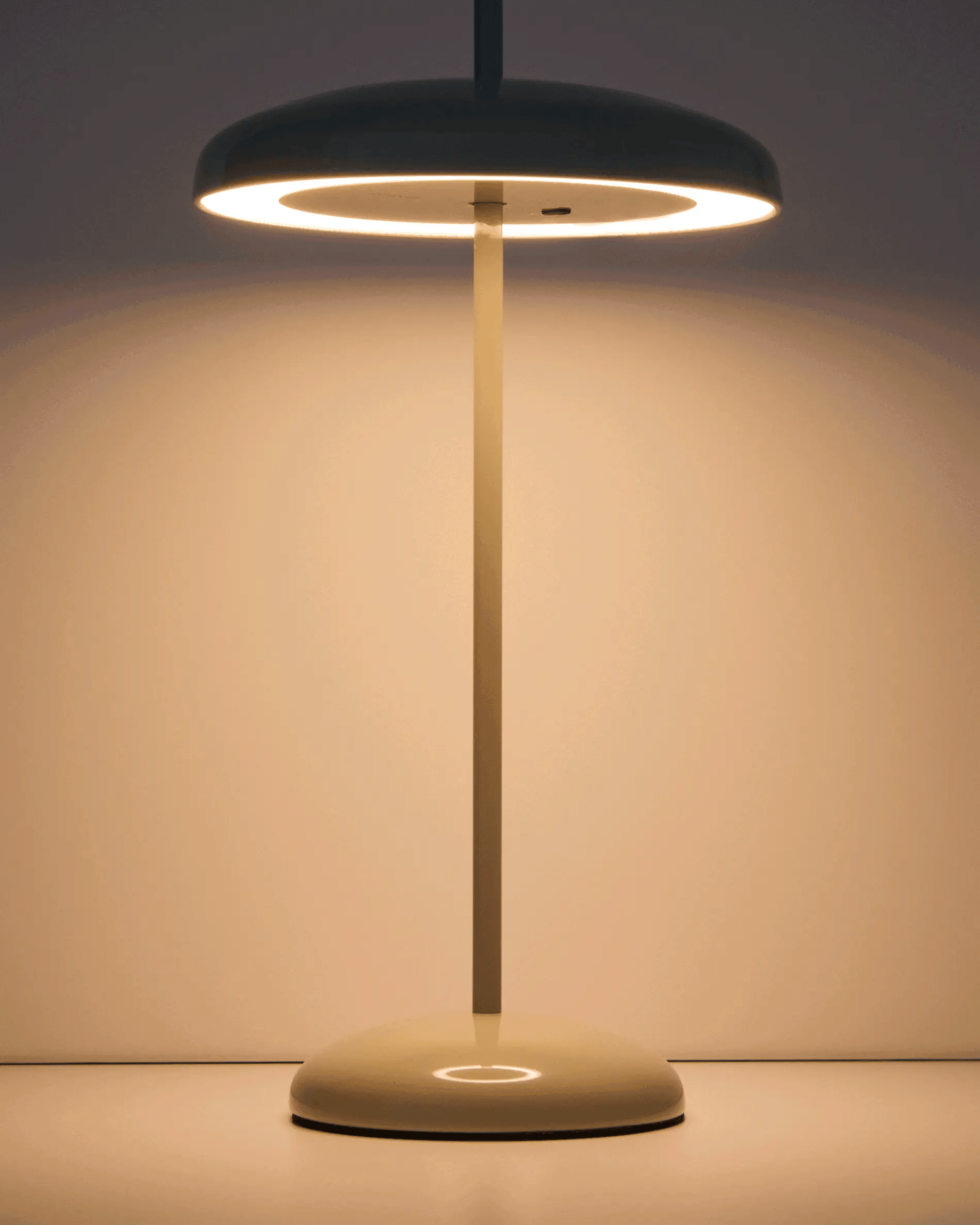 Portable lamp PORTE mint