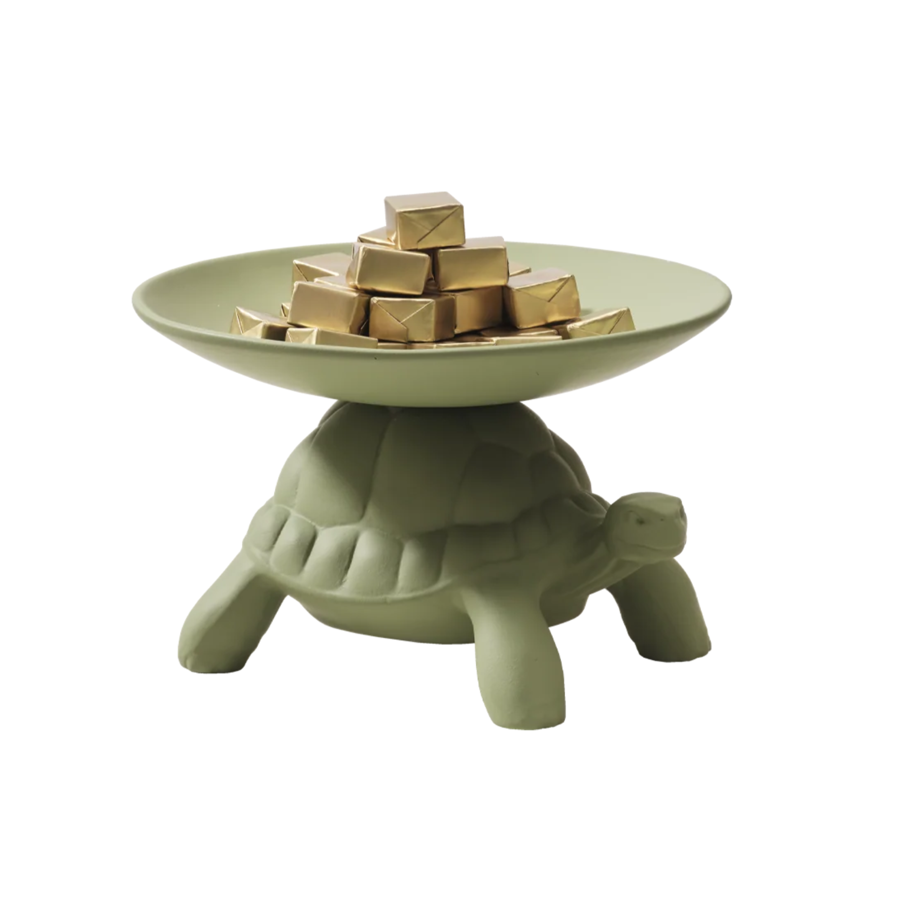 Taca TURTLE CARRY green