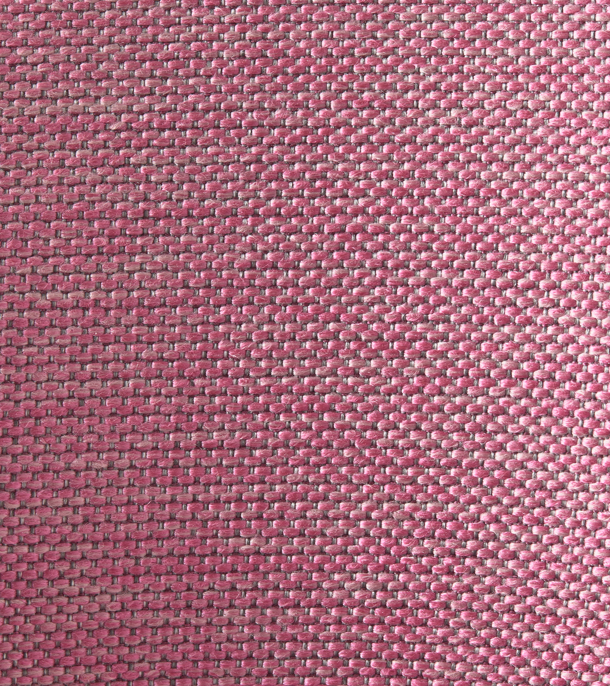 HOLY chair pink