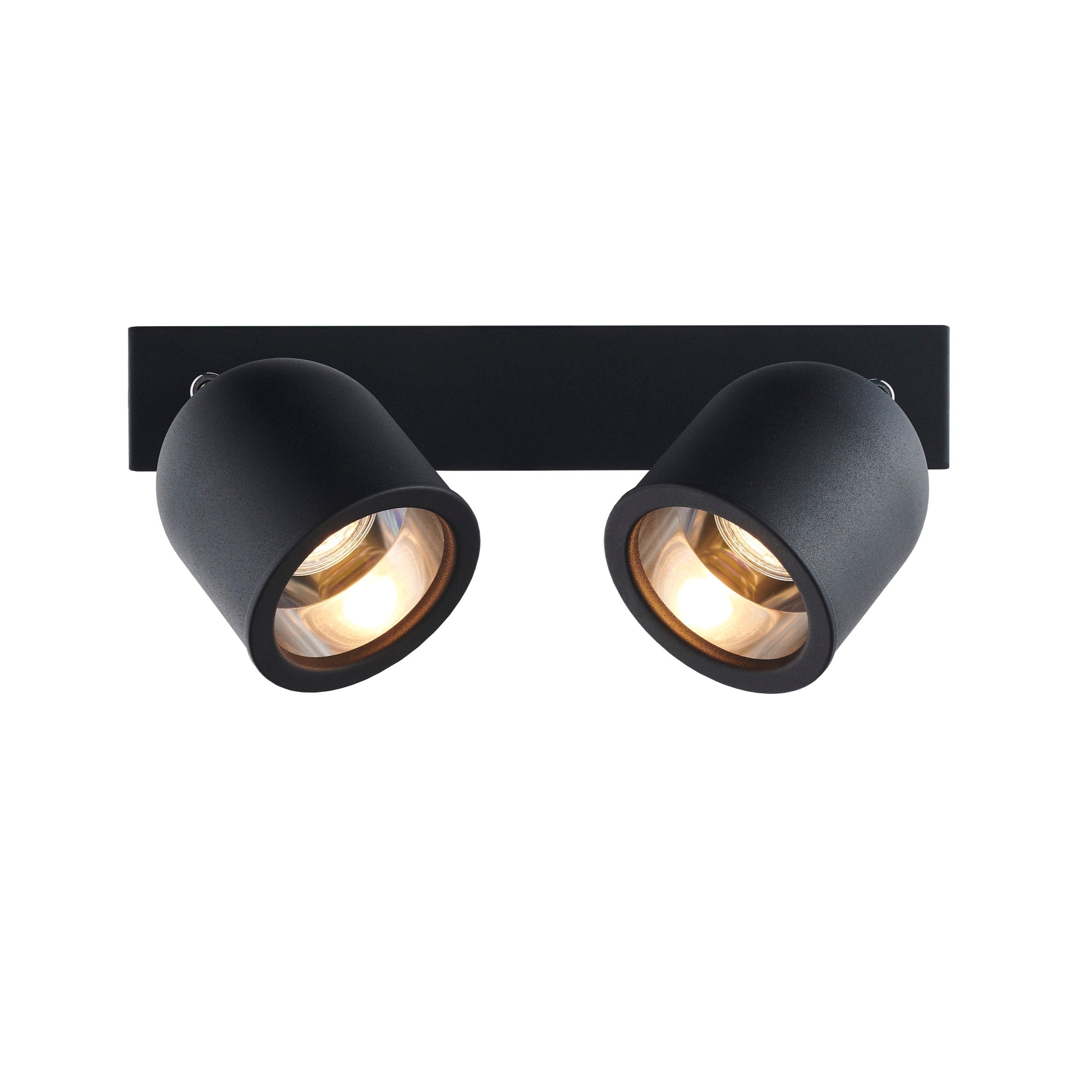 SPARK 2 Black Ceiling Lamp