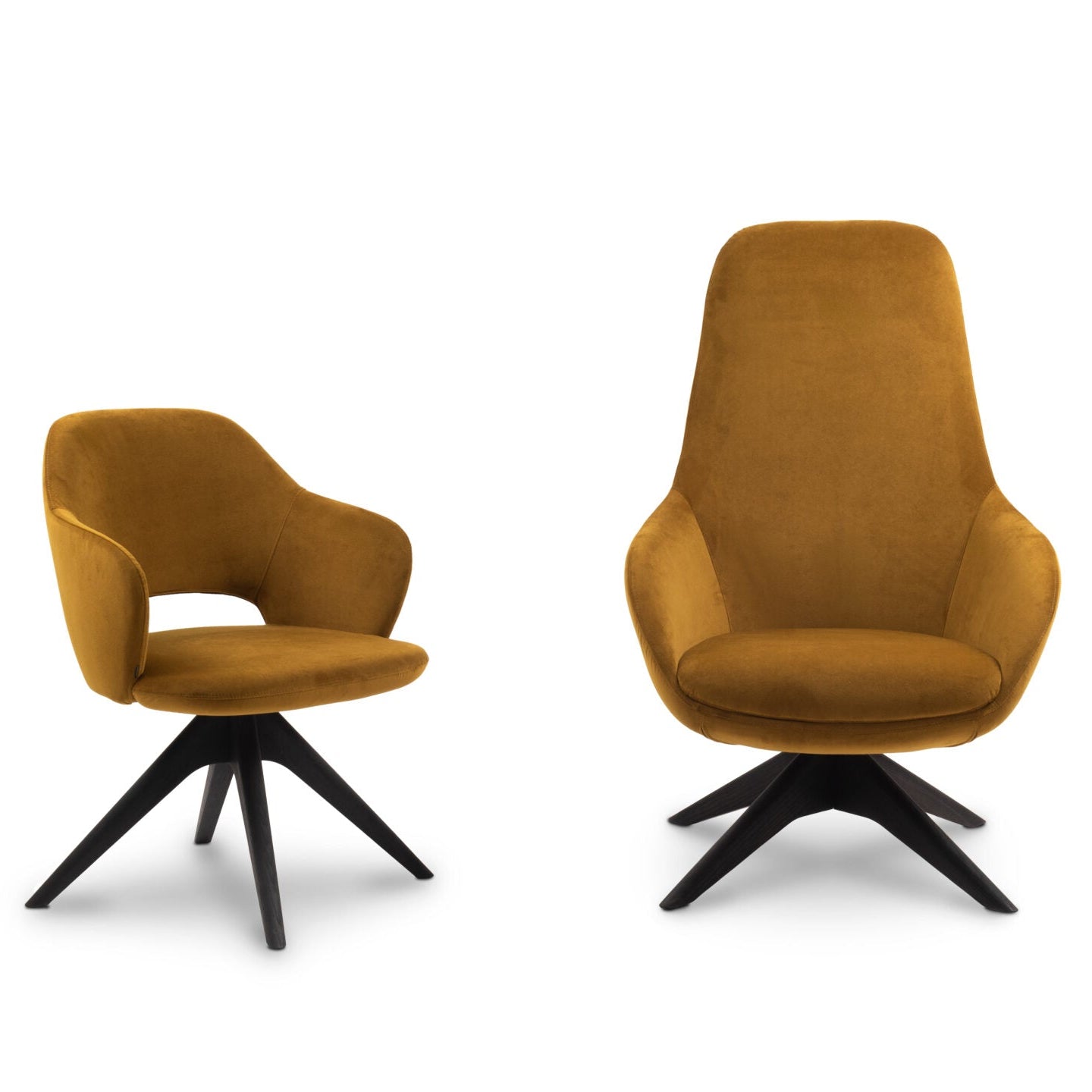ALIO II Armchair with Upholstered Seat and Wooden Base
