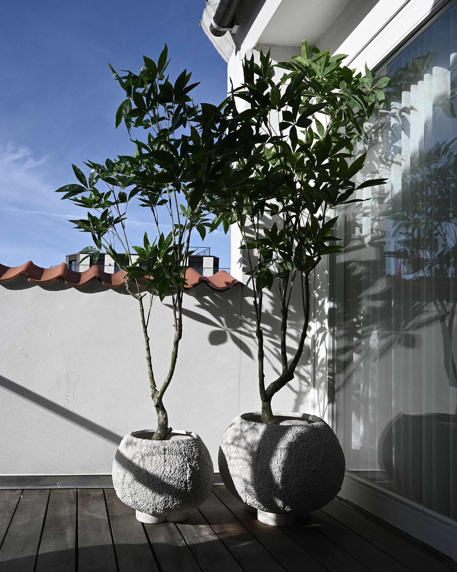 URCHIN planter broken white