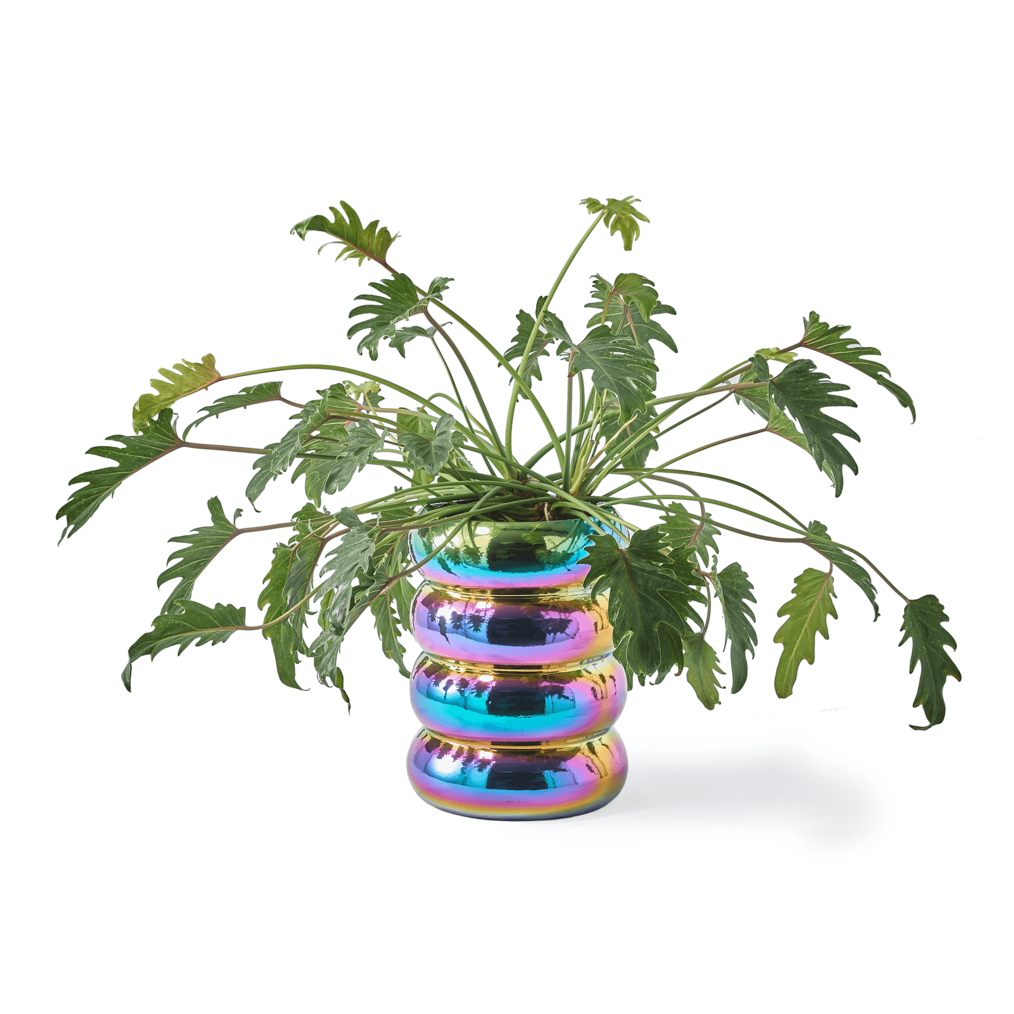 Doniczka CHUBBY petrol Pols Potten Eye on Design