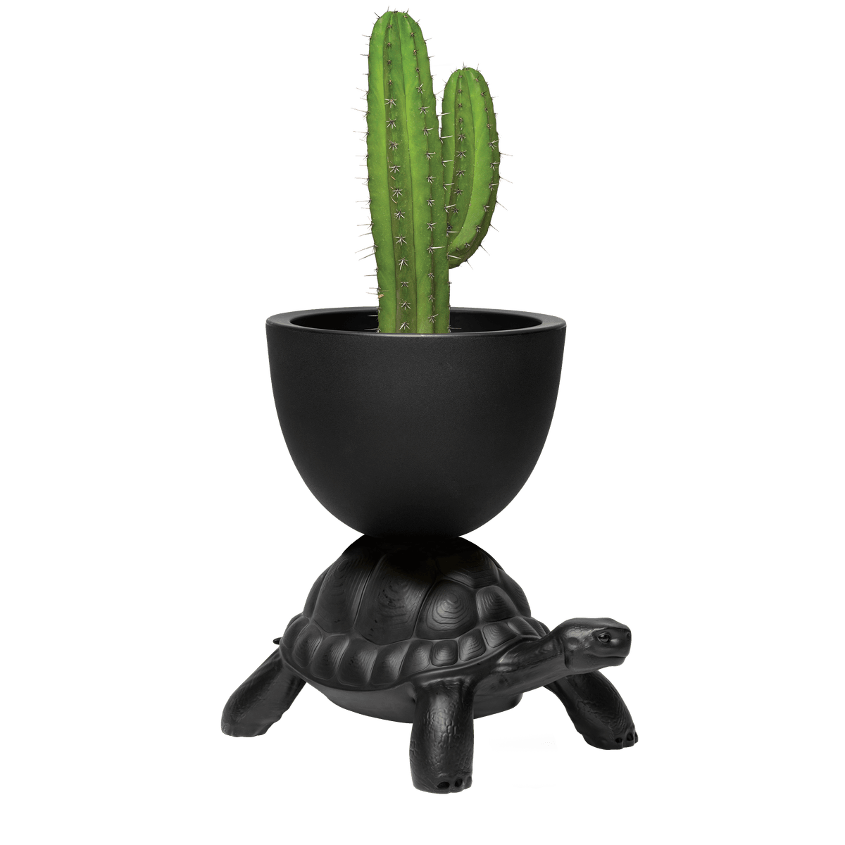 Doniczka TURTLE CARRY czarny Qeeboo Eye on Design