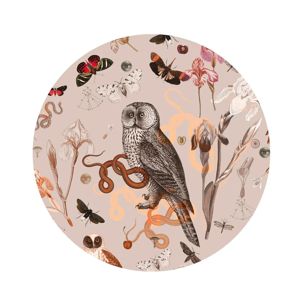 Circle-shaped Mural DOTS - PINK OWLS różowy