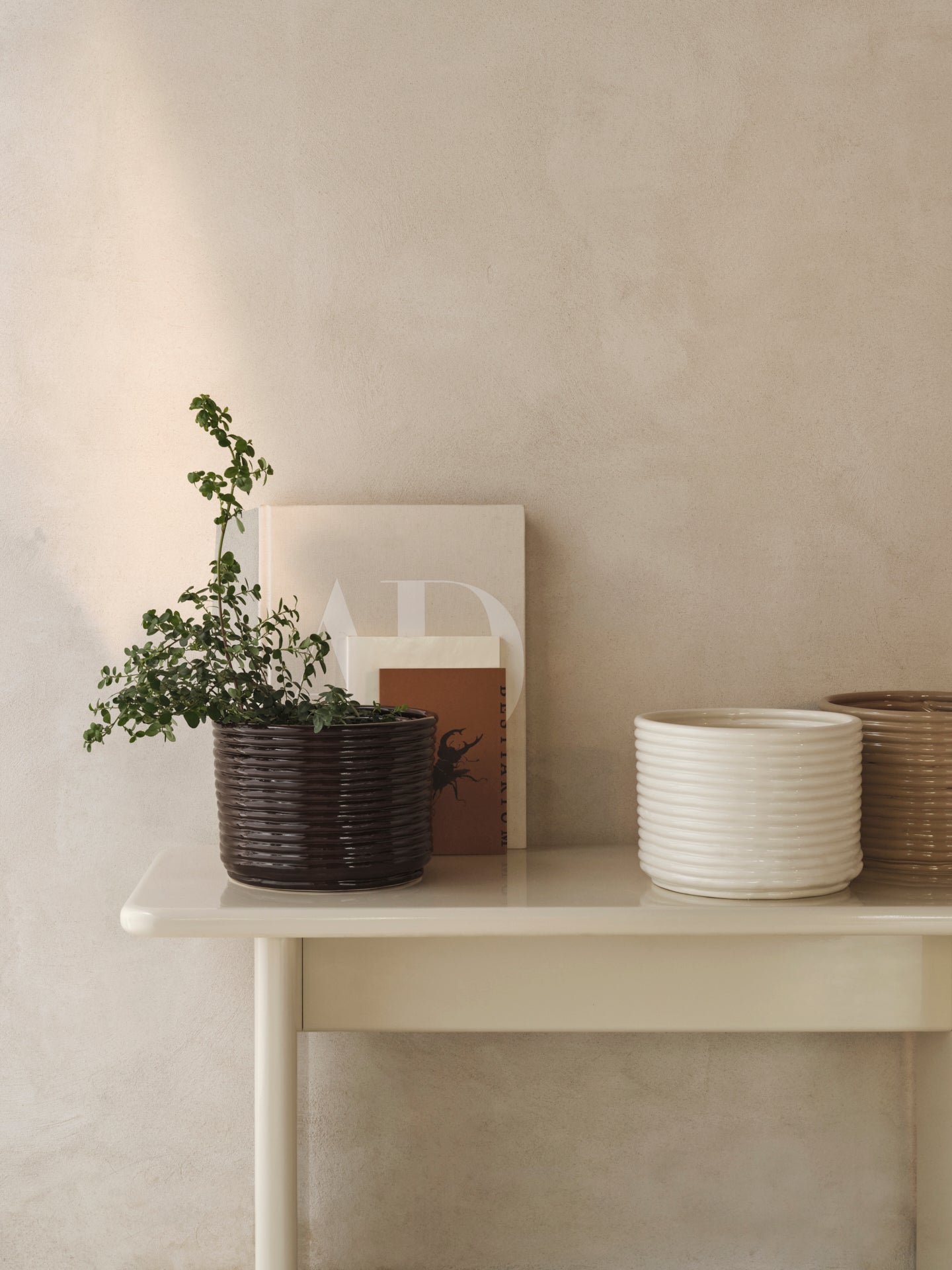 Corduroy pot cream