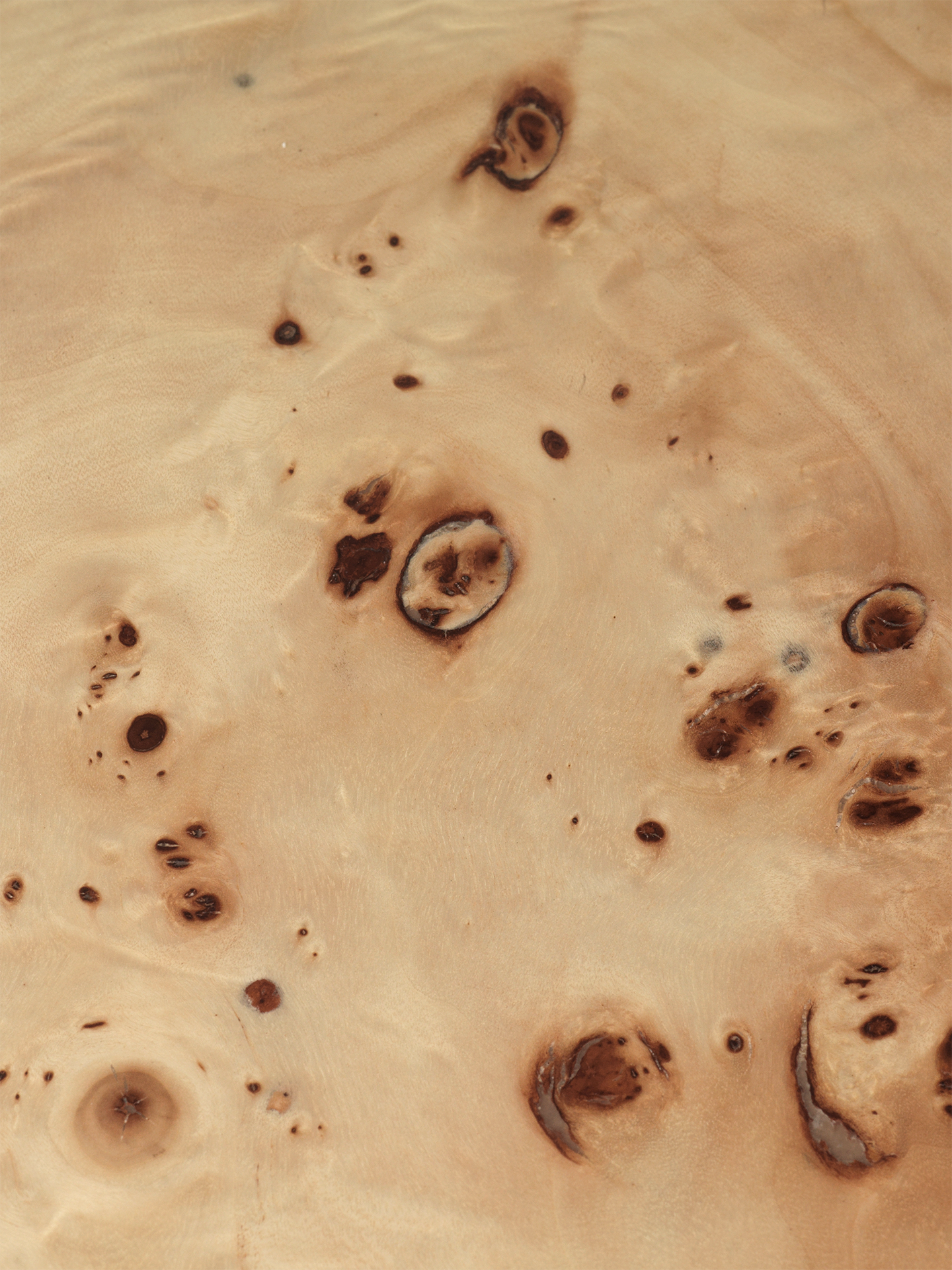 BURL veneer coffee table with poplar burl