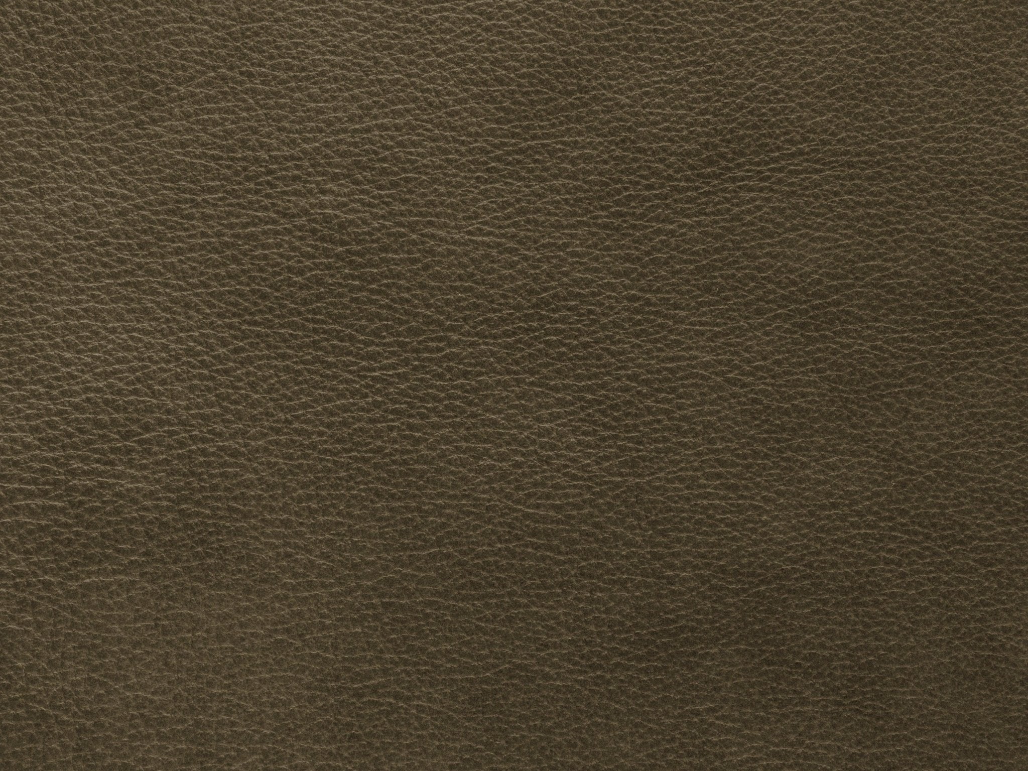 Fotel skórzany MONI oliwkowy Maison Heritage    Eye on Design