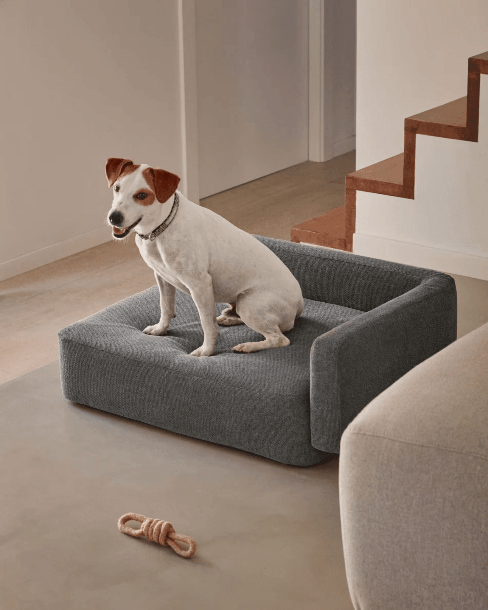 Legowisko BOWIE ciemnoszary La Forma Eye on Design