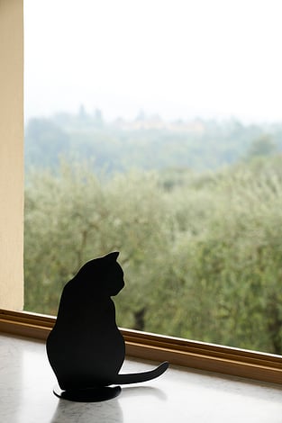 OMBRES DE CHATS Decoration black