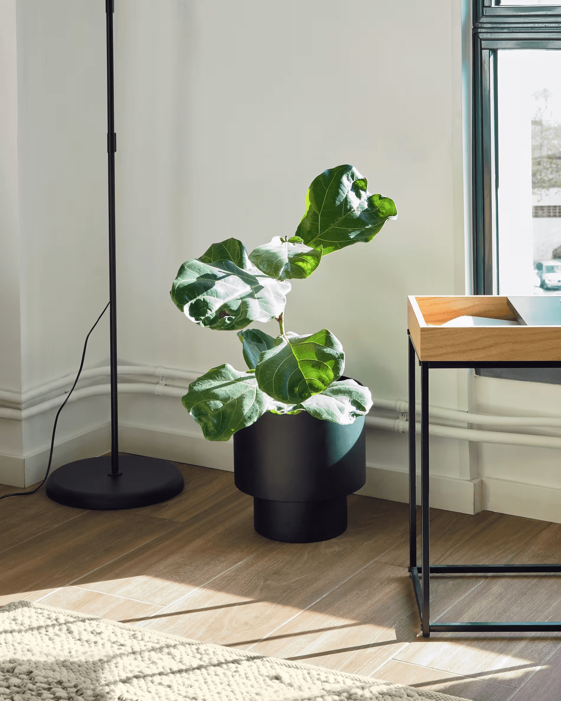 Osłona doniczki MASH czarny La Forma Eye on Design