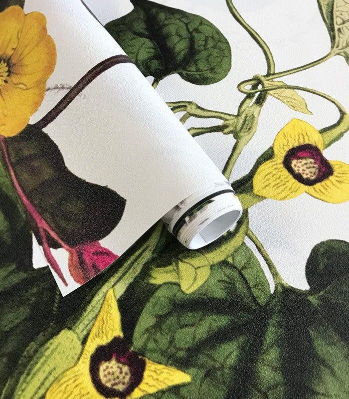 Tapeta Beautiful Blossom Wallcolors Eye on Design