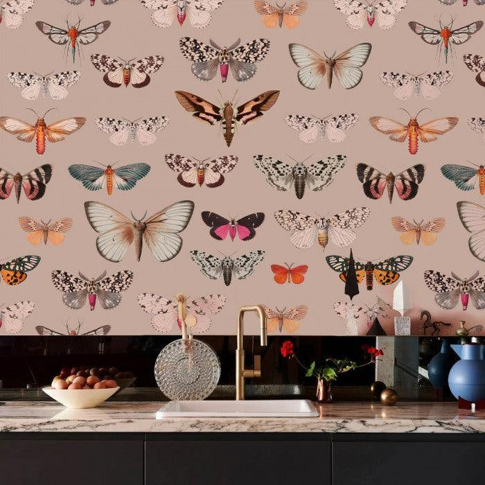 Tapeta Colorful Butterfly Pink Wallcolors Eye on Design