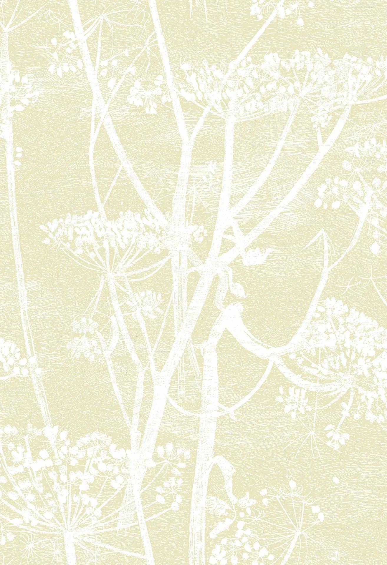 Tapeta CONTEMPORARY COLLECTION - Cow Parsley żółty Cole & Son Eye on Design