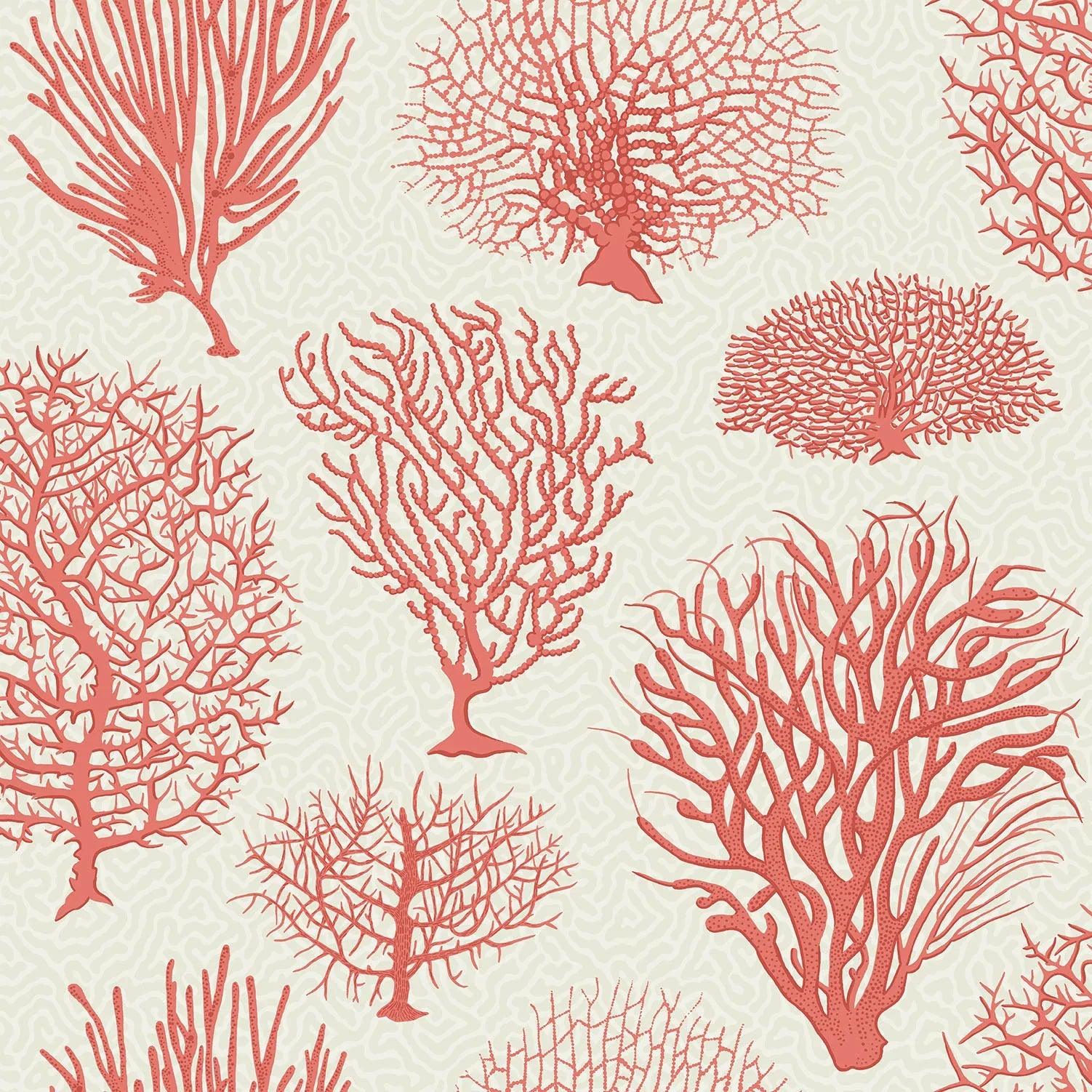 Tapeta CURIO - Seafern różowy na białym Cole & Son Default Title Eye on Design