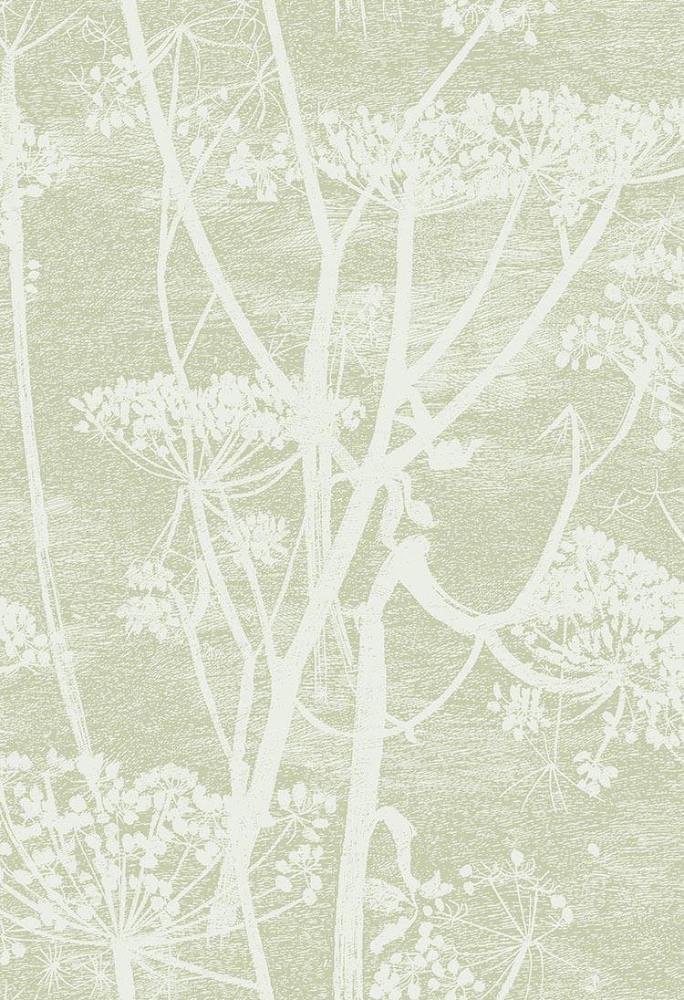 Tapeta ICONS - Cow Parsley zielony Cole & Son Eye on Design