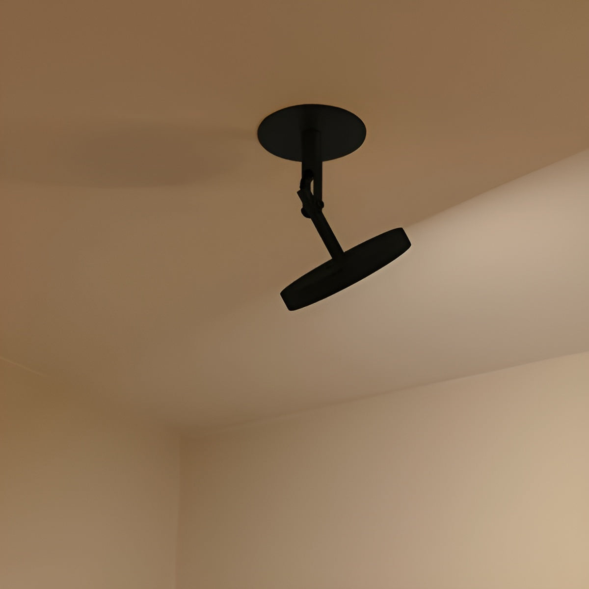 Adjustable Wall Lamp ASTERIA SPOT Black