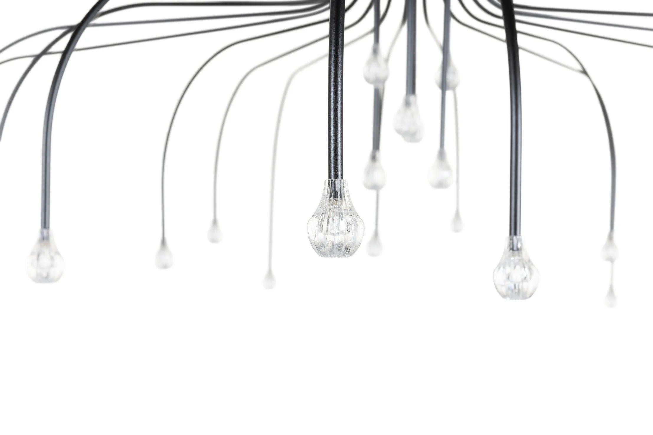 Żyrandol STARFALL LIGHT czarny Moooi Eye on Design