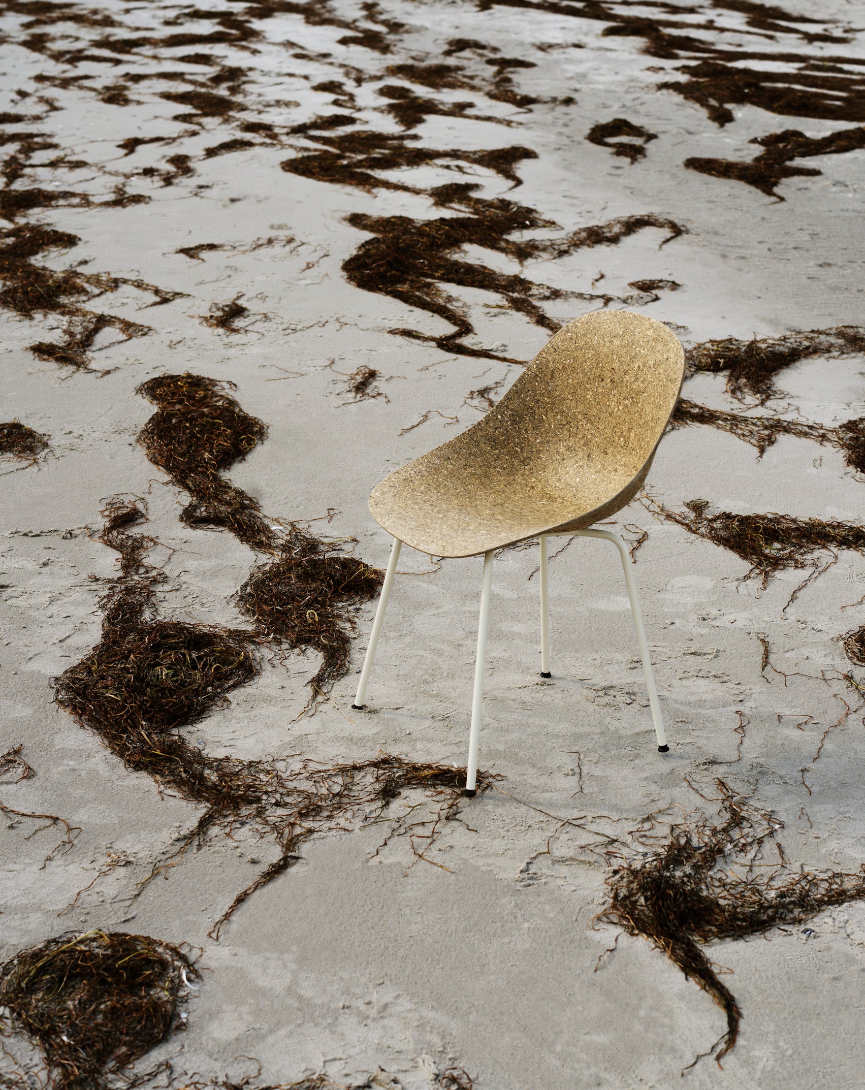 Mat Green Chair with a cream base
