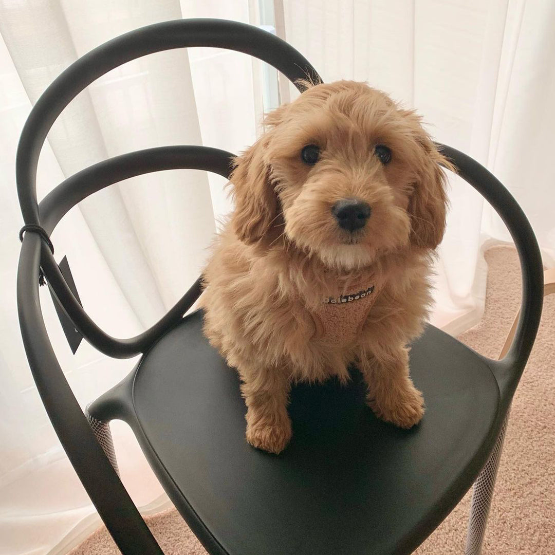 LOOP chair set green