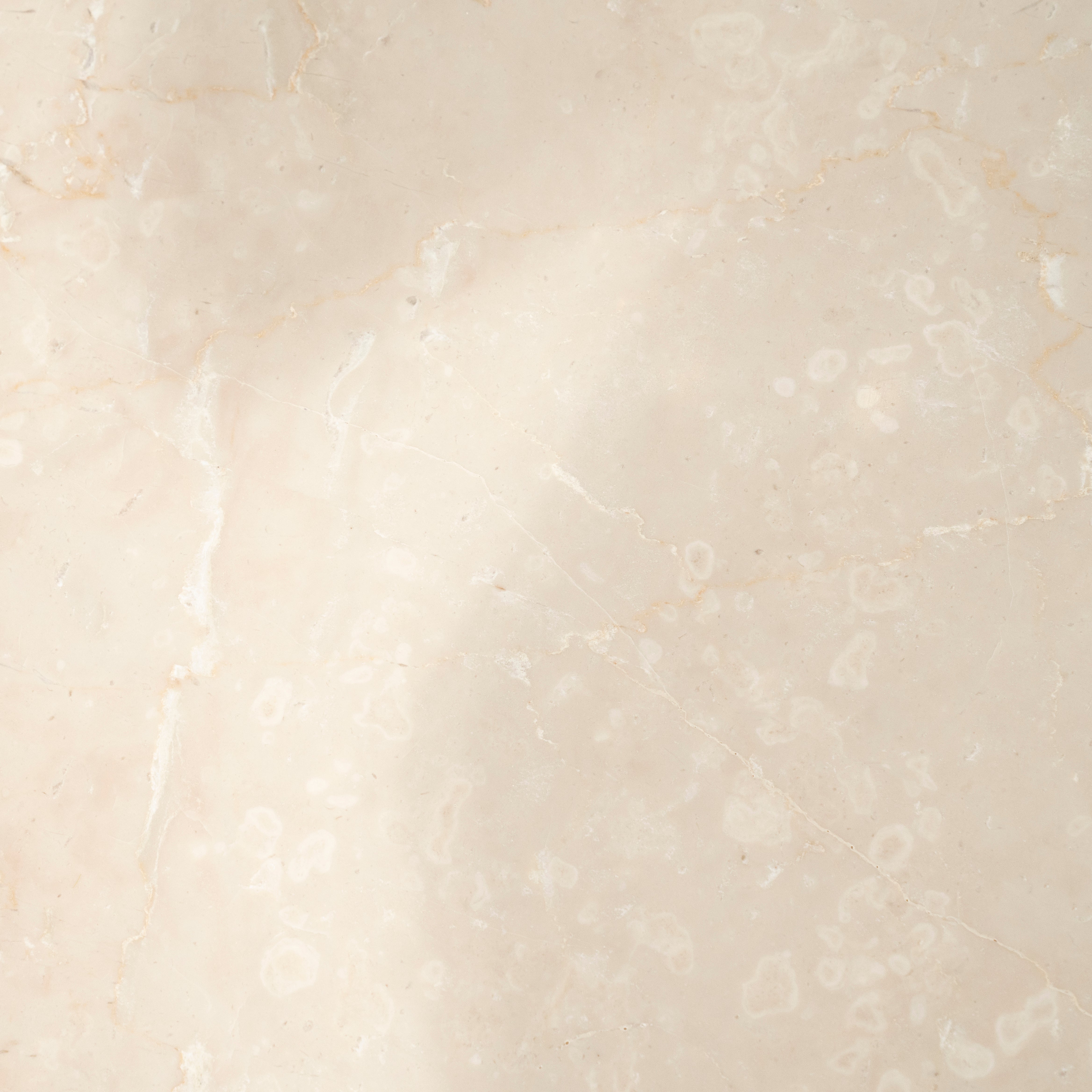 Round Table XANNI Botticion Marble with Mango Wood