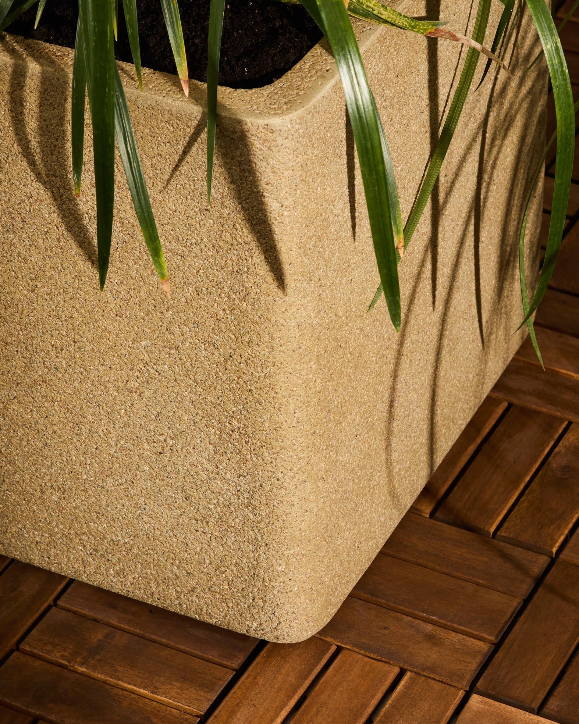 Set of Donice Minoa mustard polycement