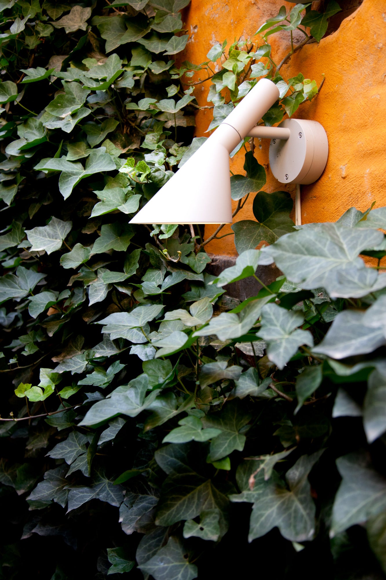 Lampa ścienna zewnętrzna AJ 50 biały