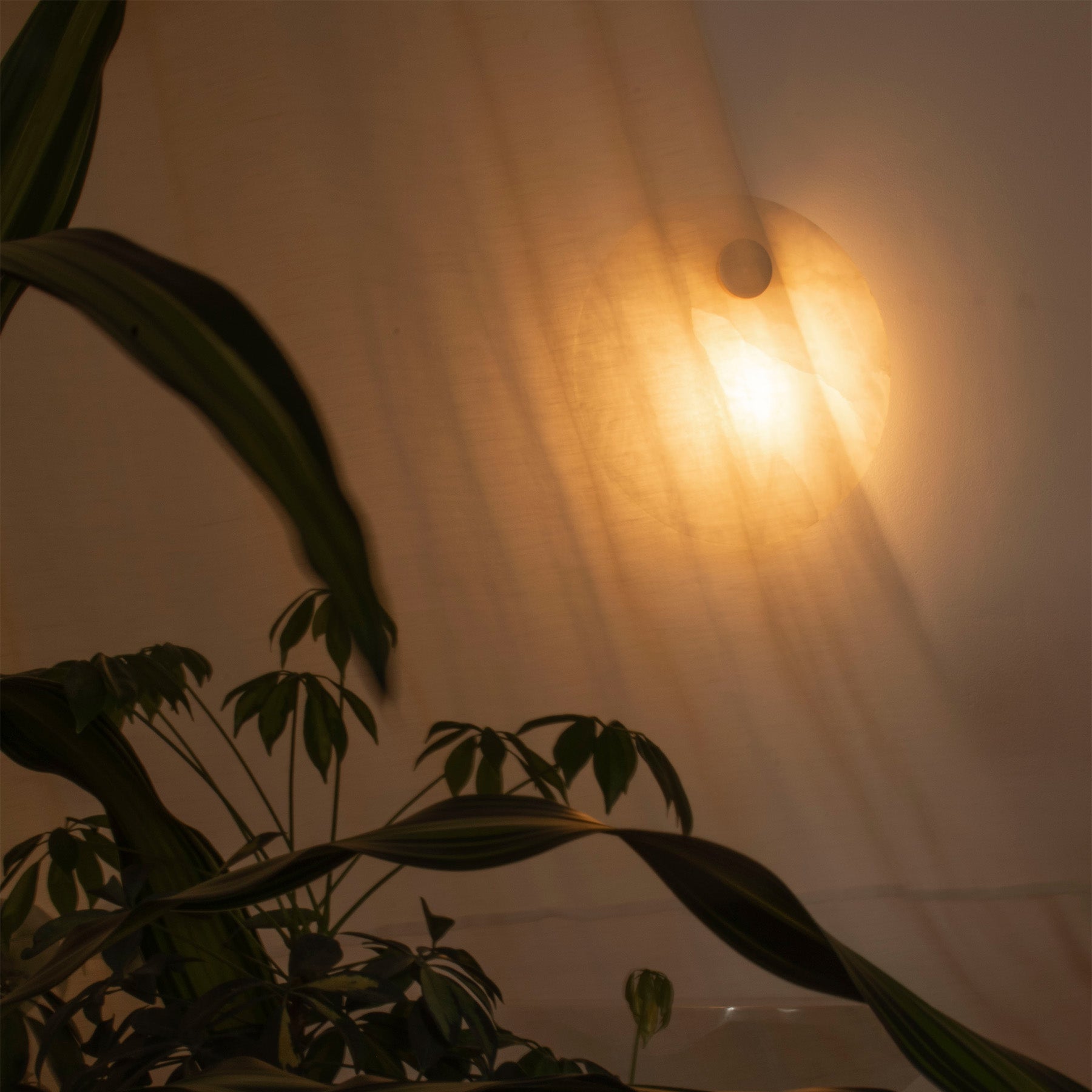 Alabaster wall lamp EOS brass [Julia]