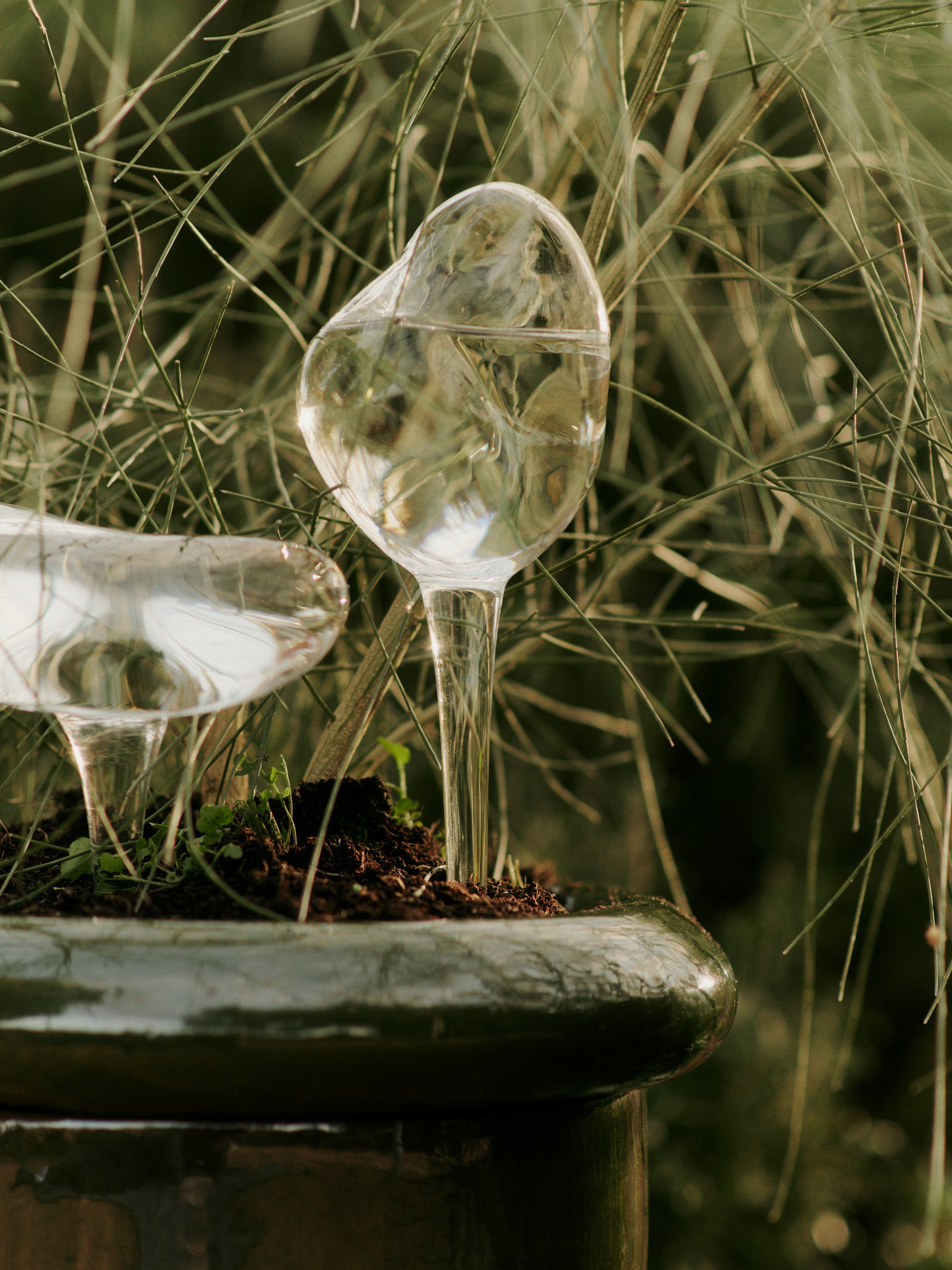 MERCURY glass watering balls