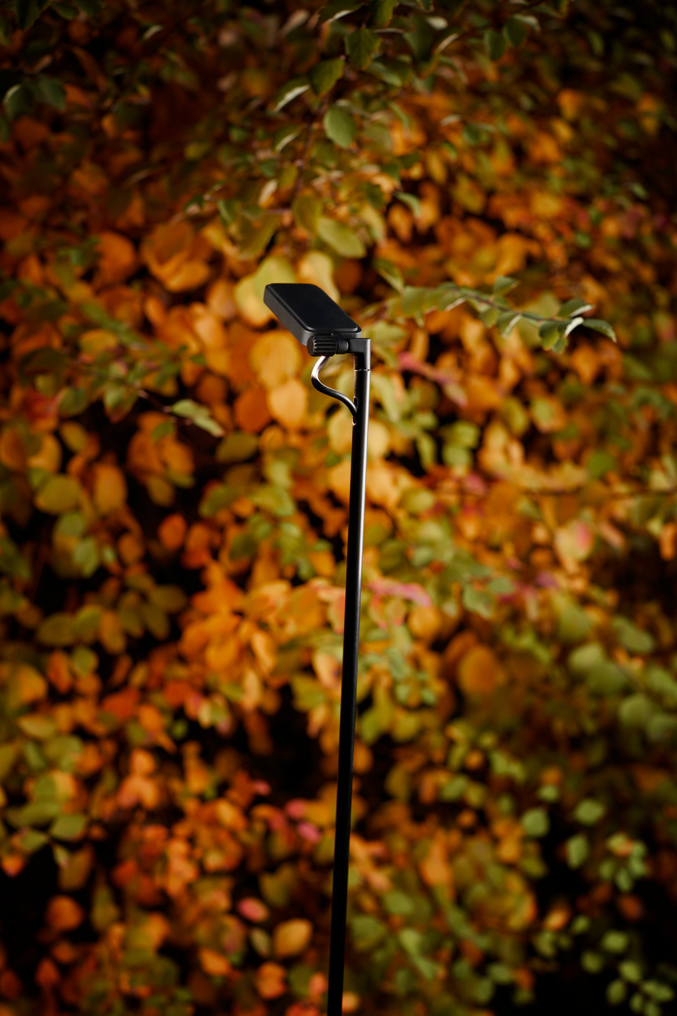 Single outer lamp Black Flia