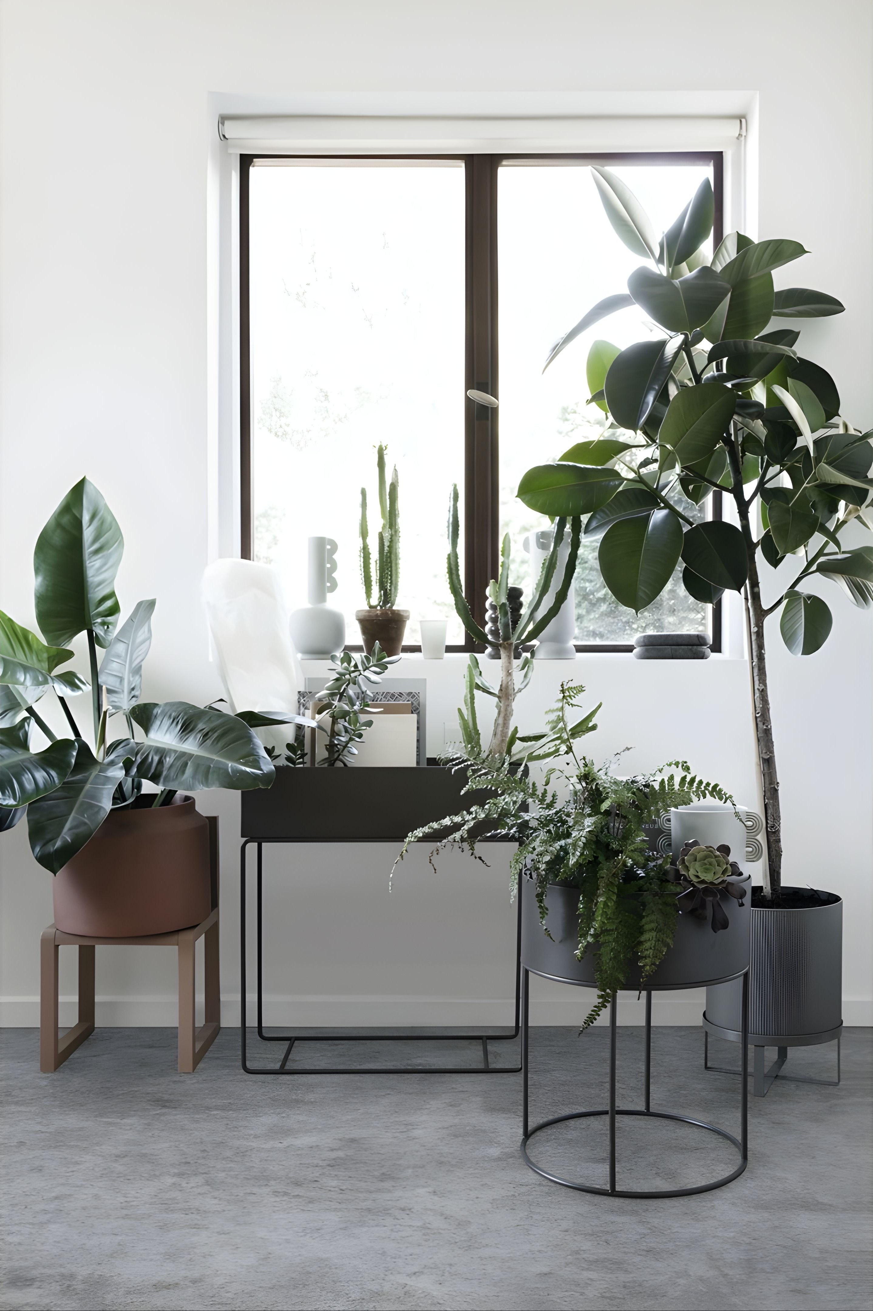 Round planter PLANT BOX ROUND black