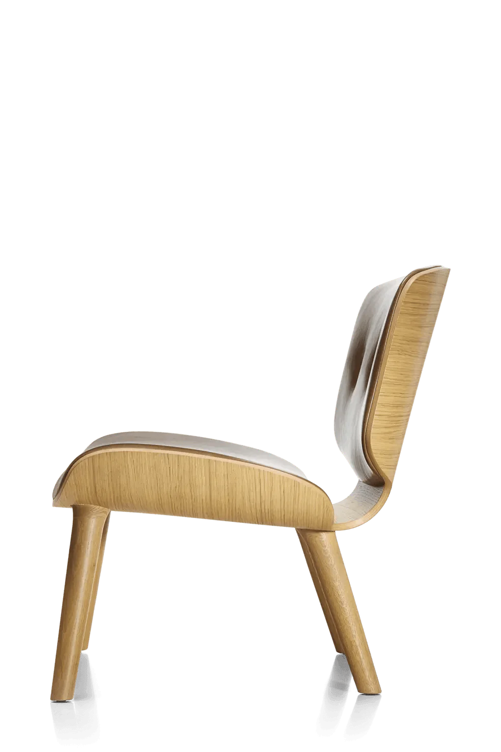 NUT Moooi Eye on Design armchair