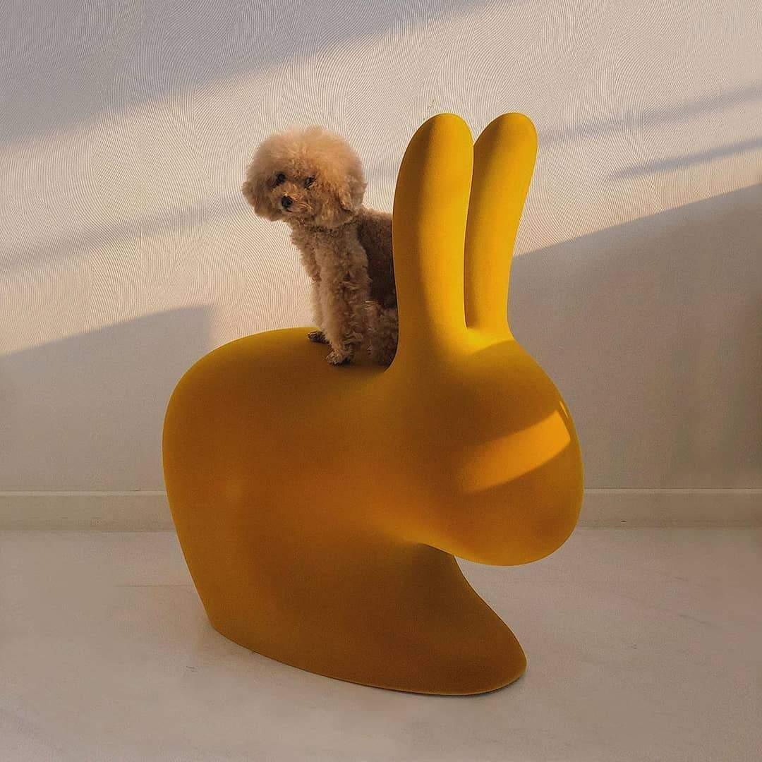 Krzesło RABBIT VELVET fioletowy Qeeboo    Eye on Design