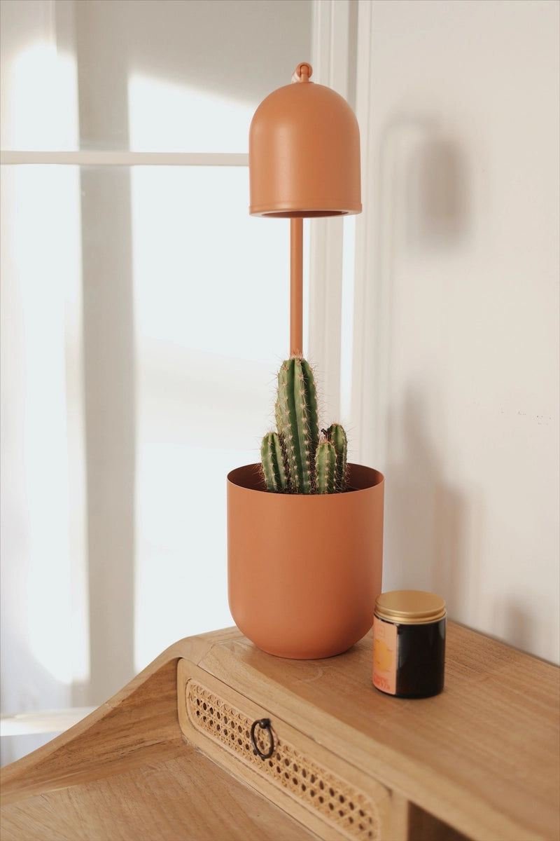 Schreibtischlampe BOTANICA WOOD Terrakotta