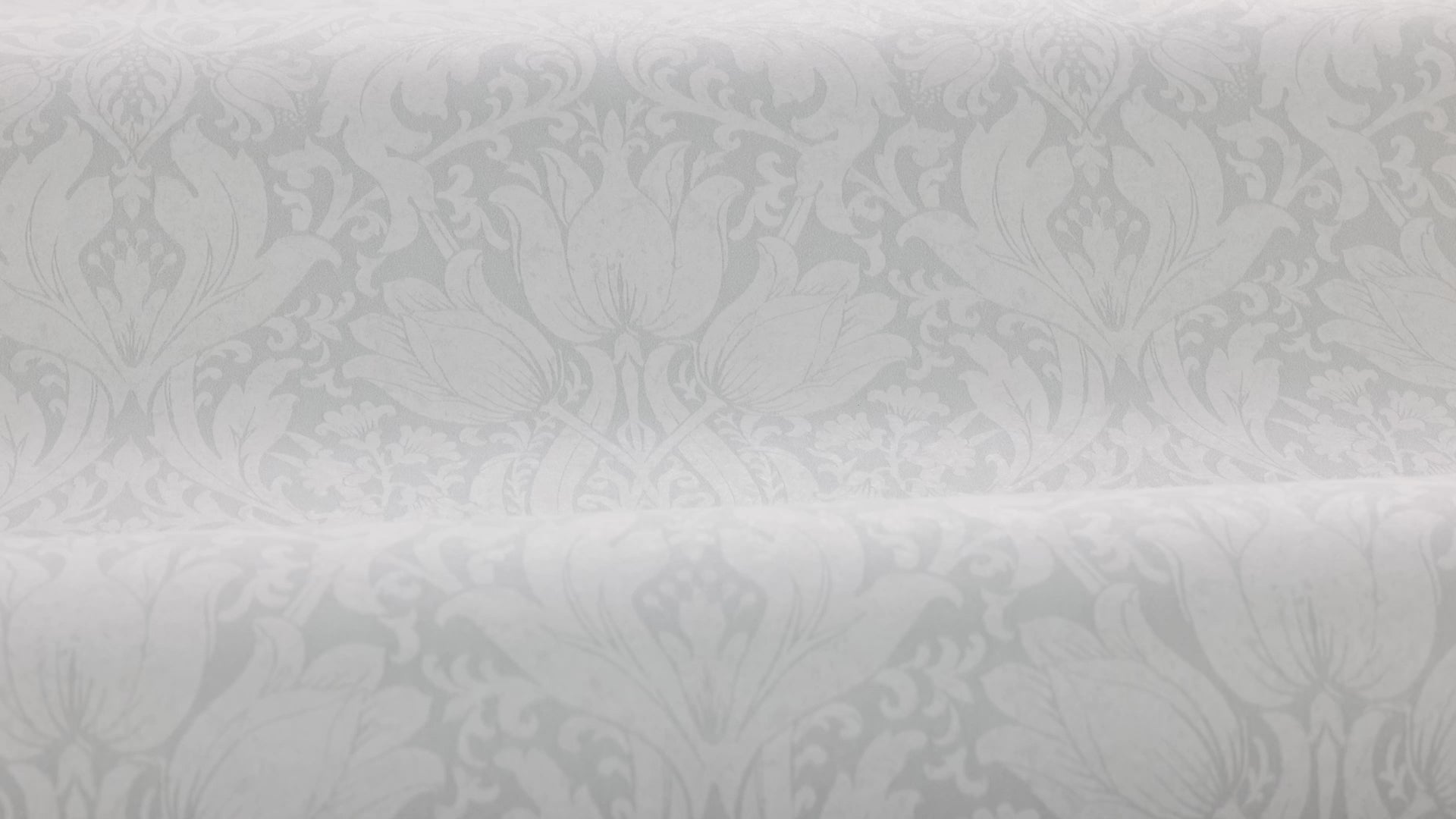 Non-woven paper wallpaper with a plant pattern ALBA gray with white