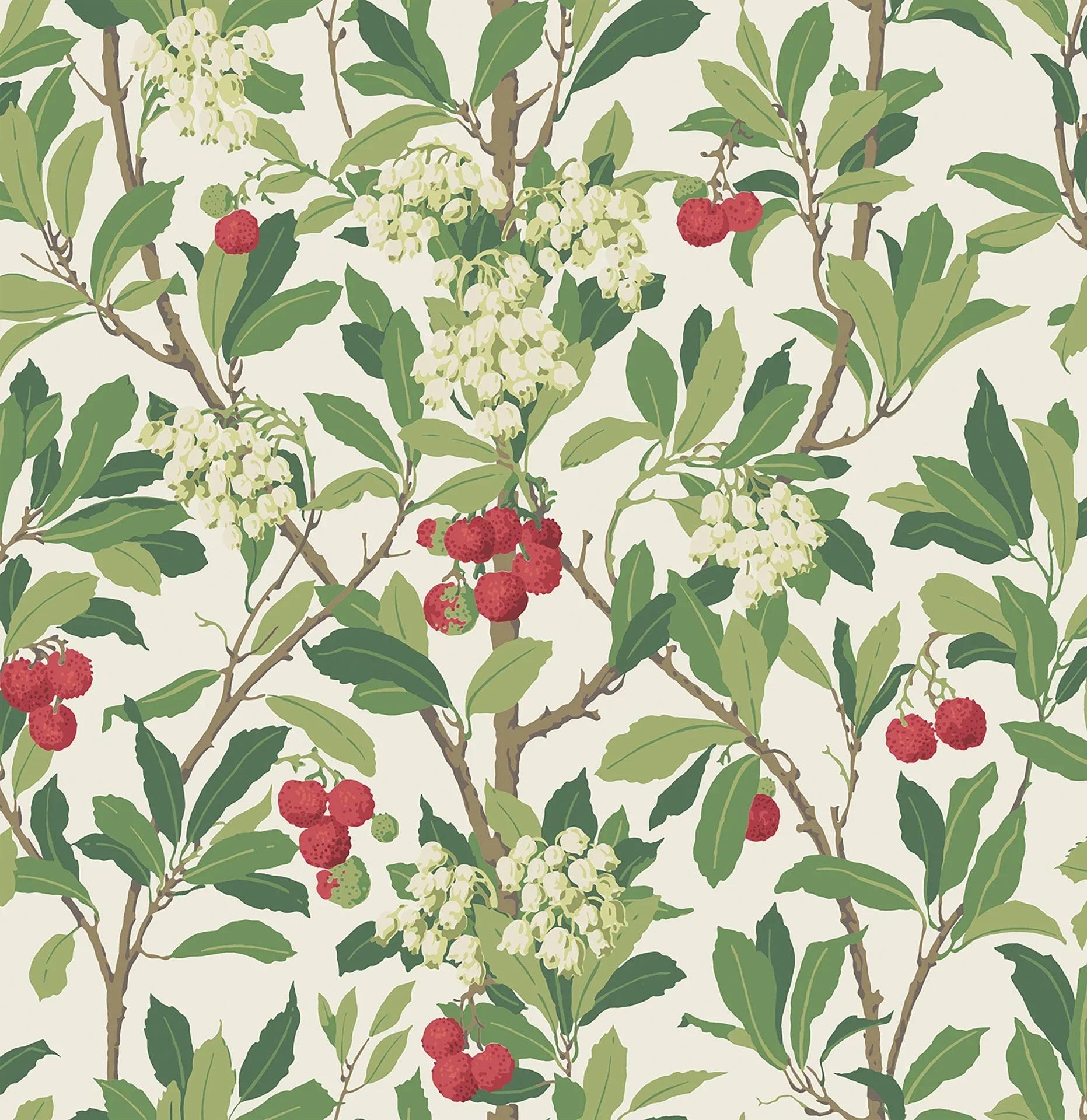 Tapeta ARCHIVE ANTHOLOGY - Strawberry Tree czerwień na bieli Cole & Son Default Title   Eye on Design