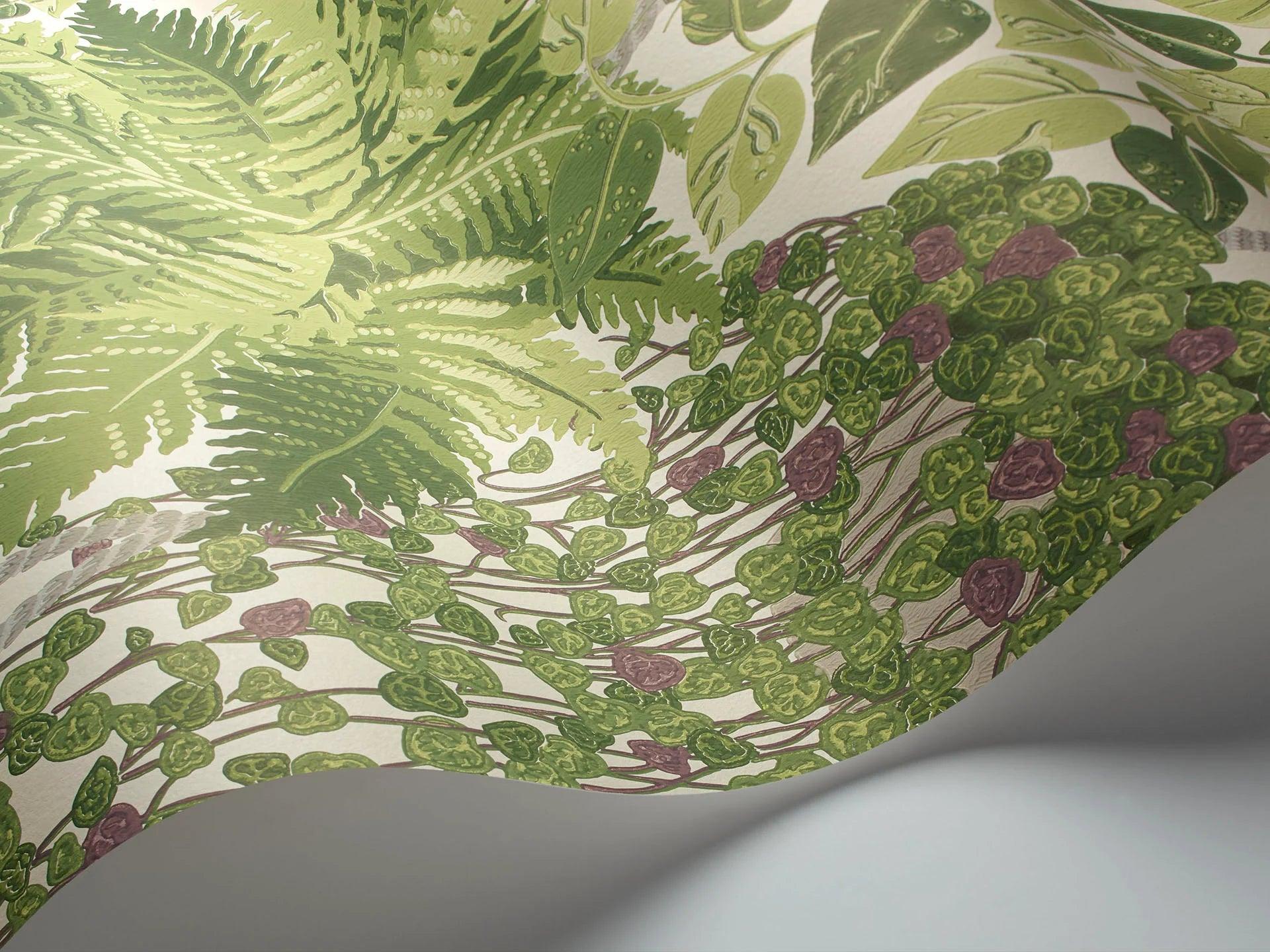 Tapeta BOTANICAL BOTANICA - Fern zielony Cole & Son    Eye on Design