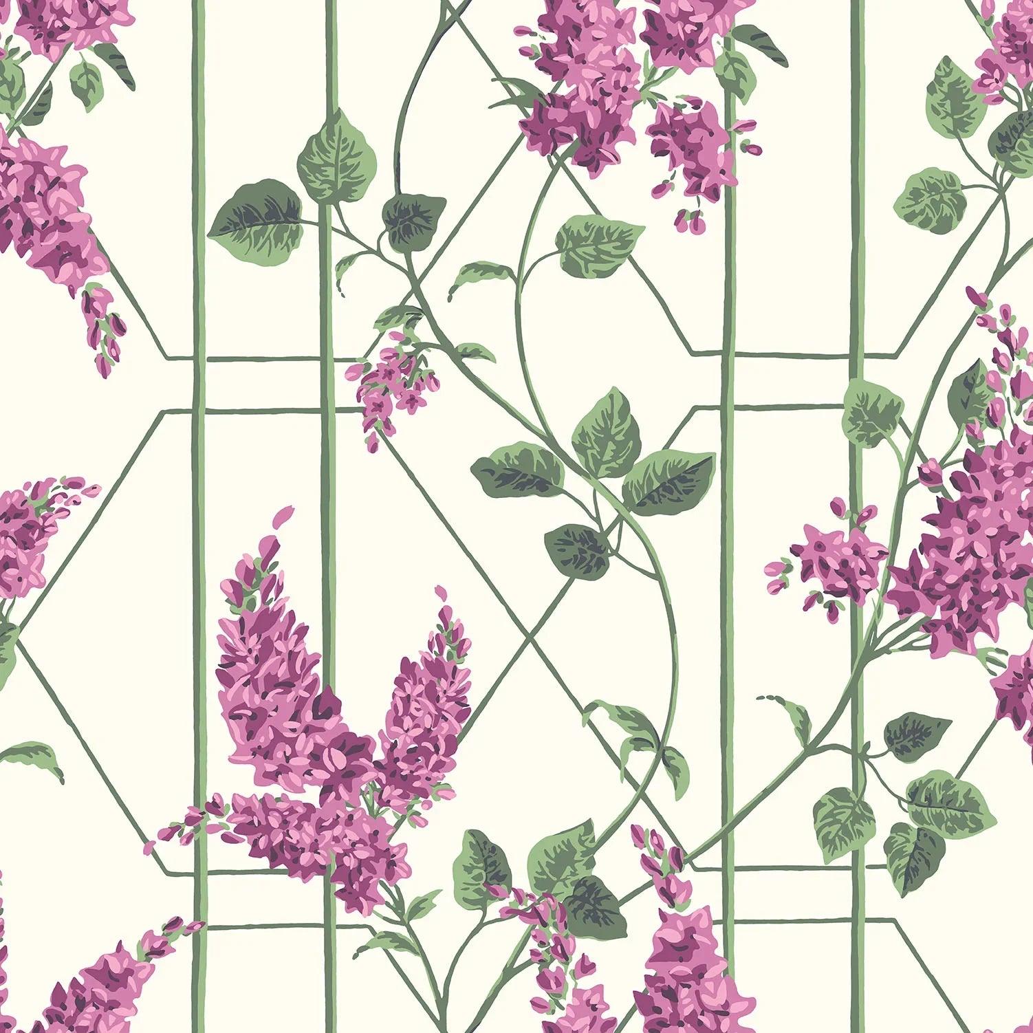 Tapeta BOTANICAL BOTANICA - Wisteria róż na białym Cole & Son Default Title   Eye on Design
