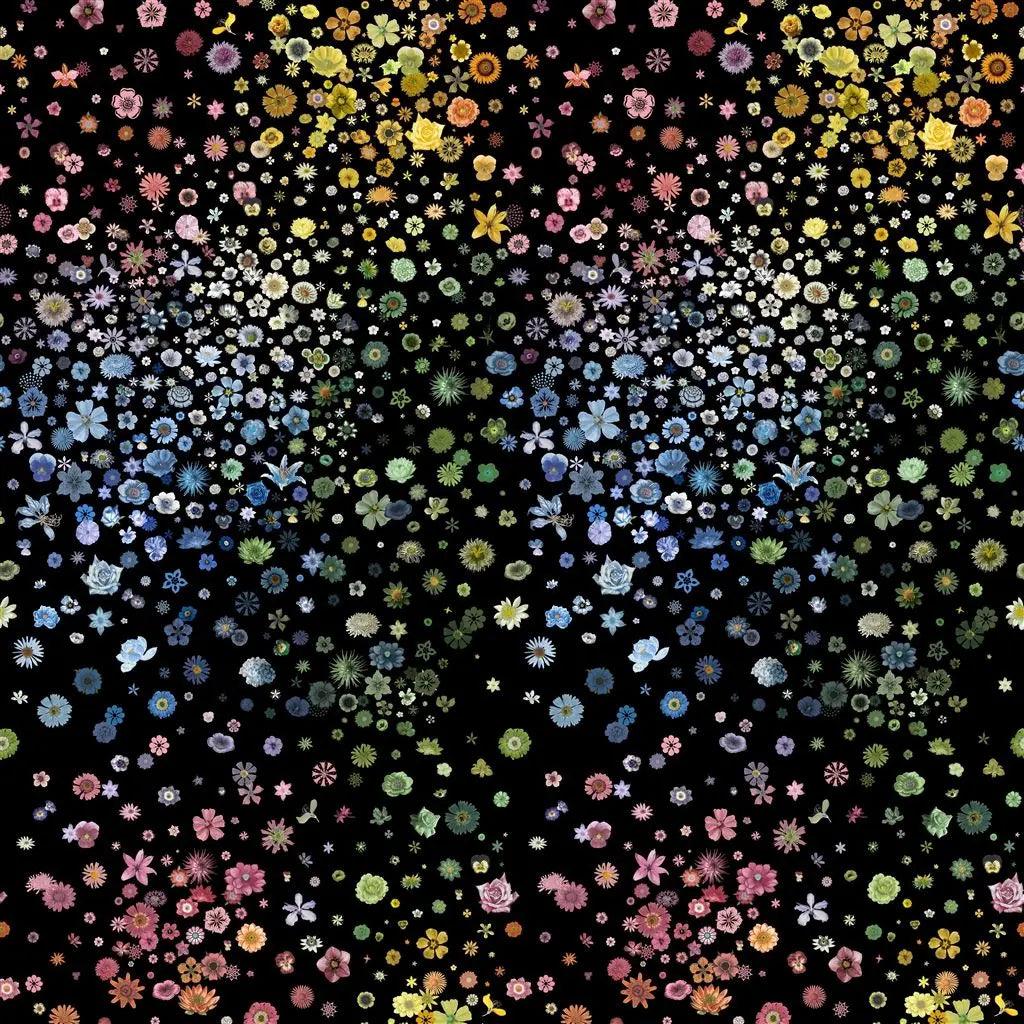 Tapeta JARDIN DES HESPERIDES czarny Christian Lacroix    Eye on Design