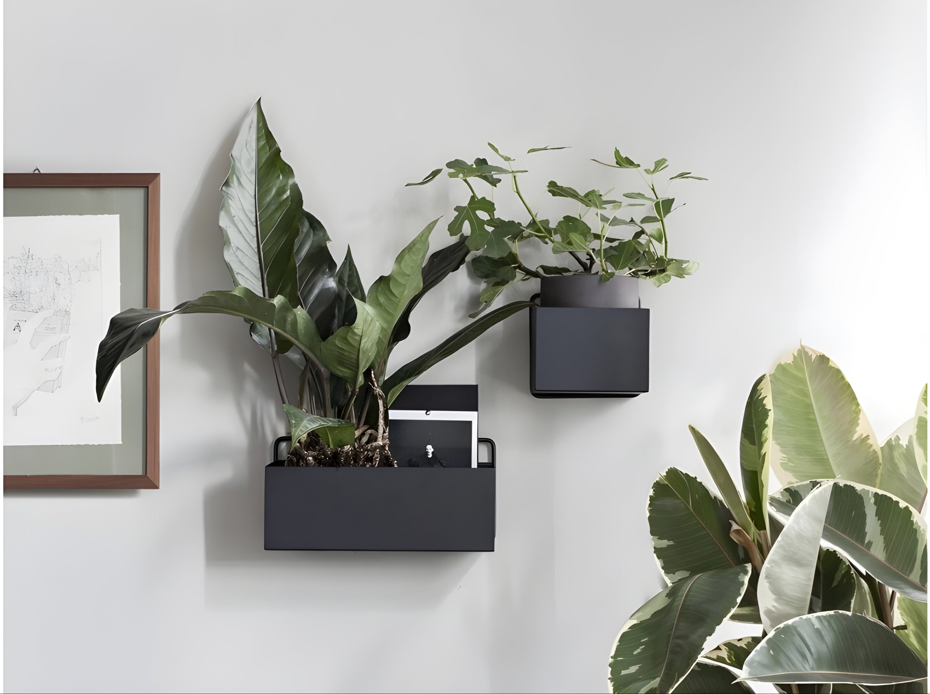 Hängender Blumentopf WALL SQUARE BOX schwarz 