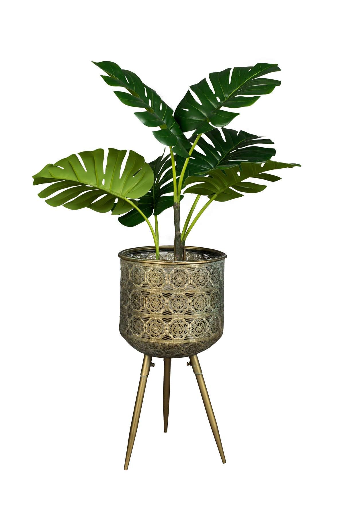 BOTANIQUE pot L gold - Eye on Design